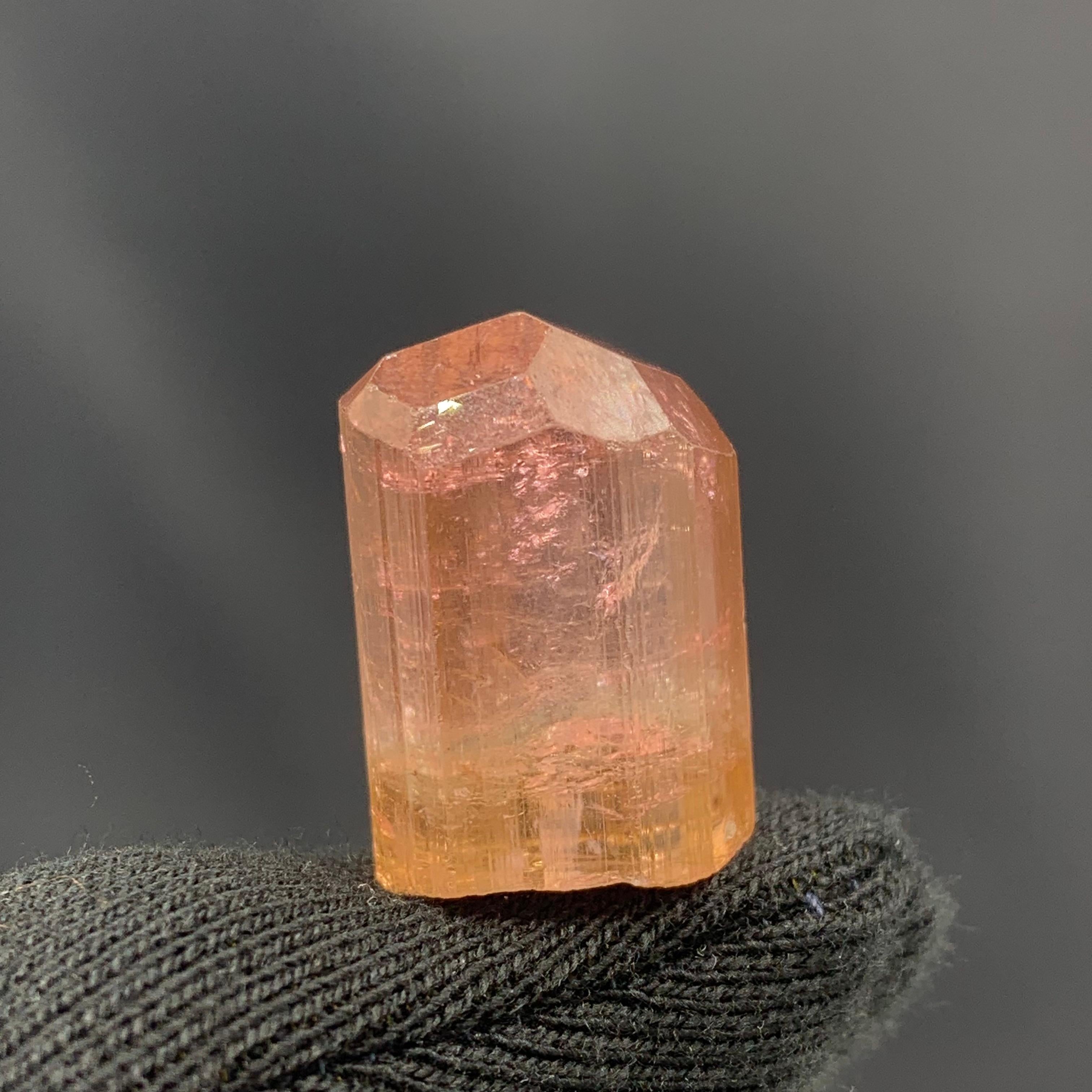 Adam Style 62.70 Carat Lovely Peach Color Tourmaline Crystal from Paprook, Afghanistan For Sale