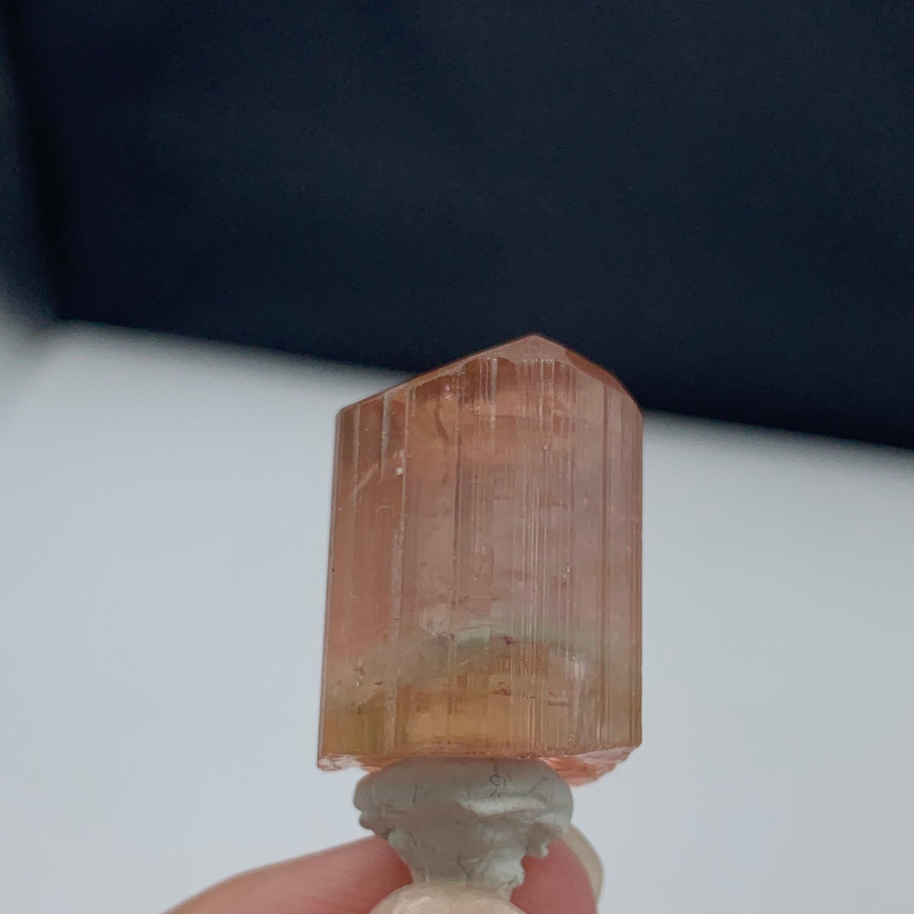 Other 62.70 Carat Lovely Peach Color Tourmaline Crystal from Paprook, Afghanistan For Sale