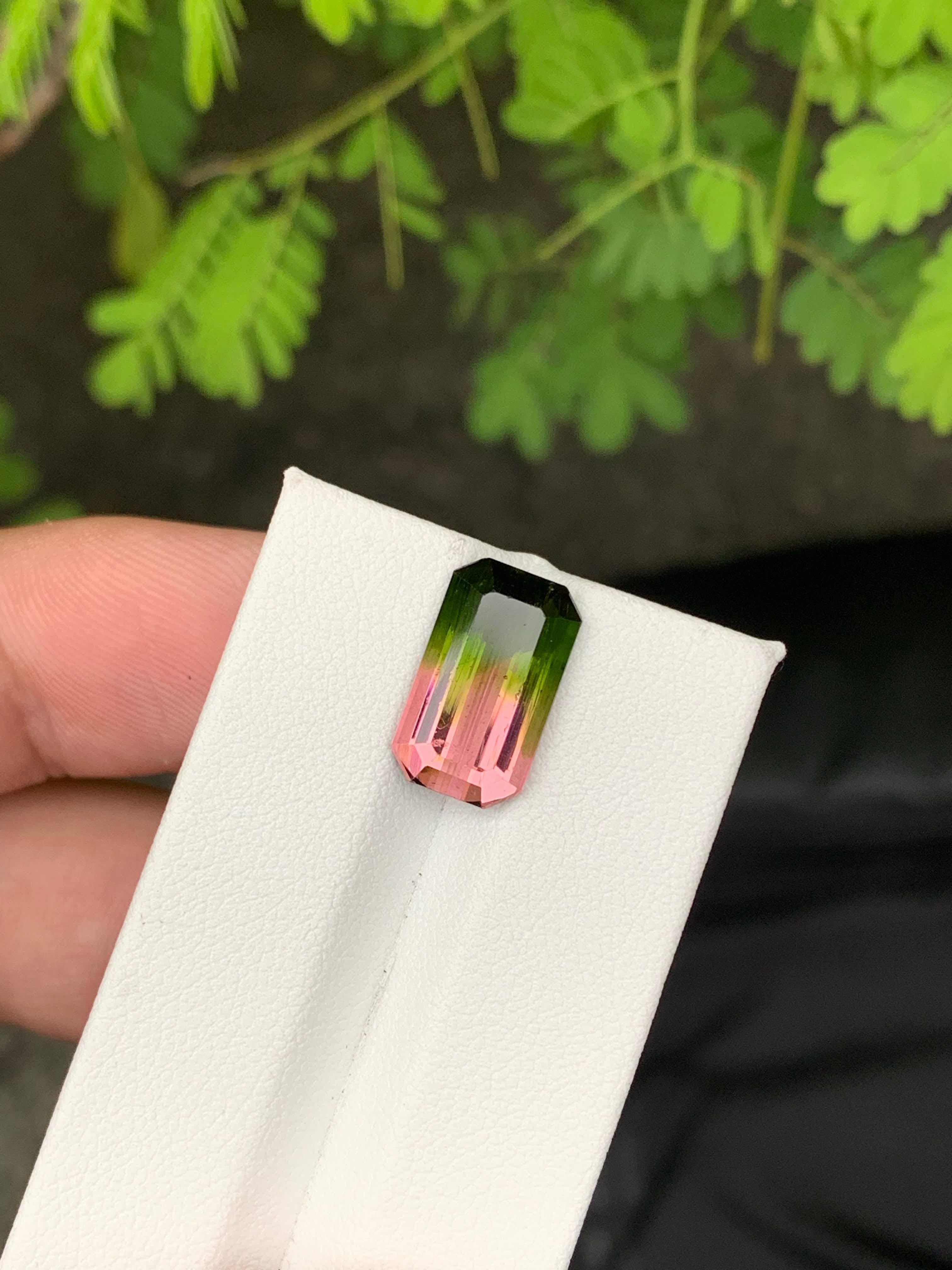 6.30 Carat Naturelle Bi Color Watermelon Tourmaline Afghan Gemstone en vente 4