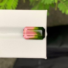 6,30 Karat Natürlicher loser zweifarbiger Wassermelonen-Turmalin Afghanischer Edelstein