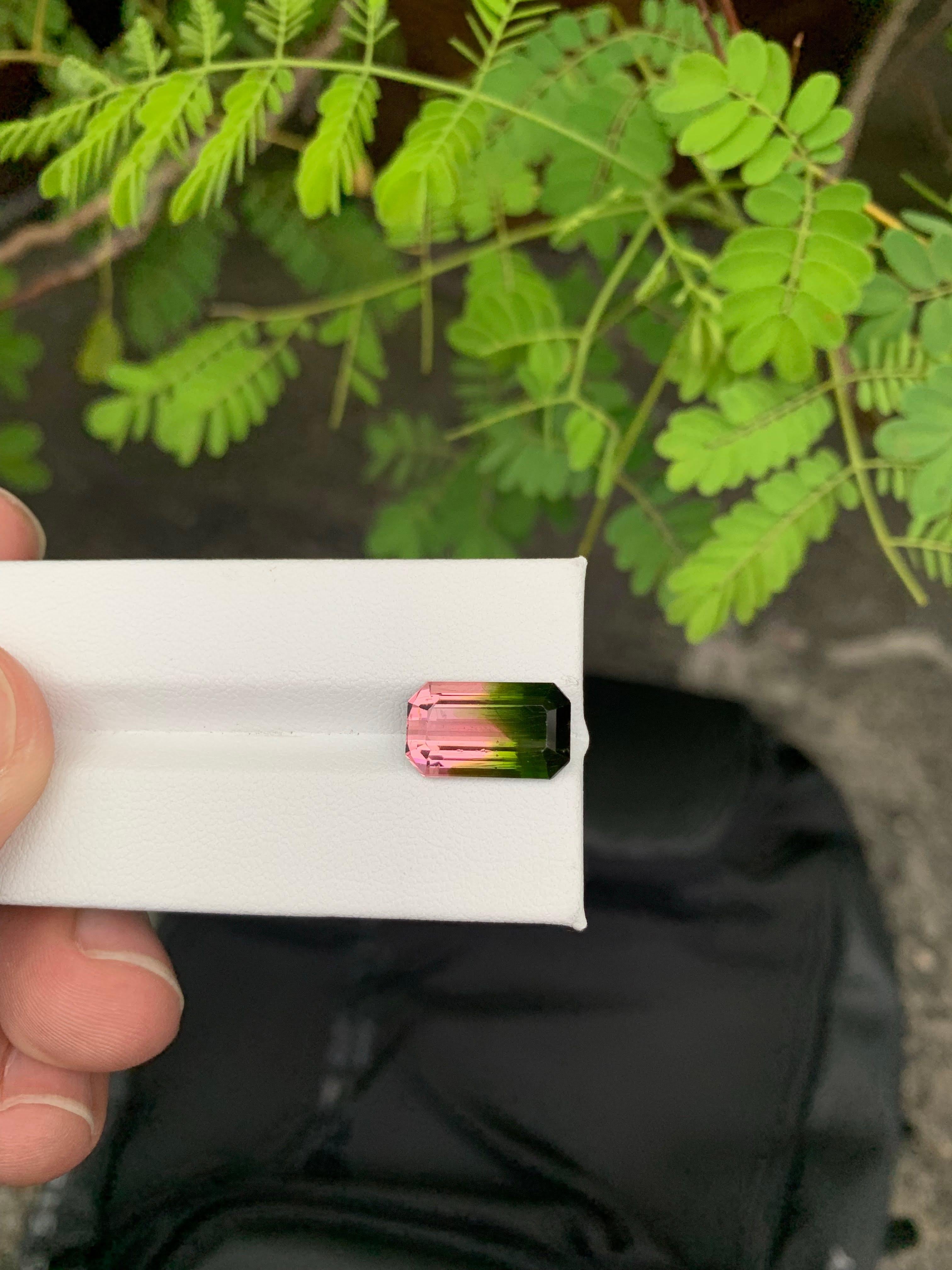 Moderne 6.30 Carat Naturelle Bi Color Watermelon Tourmaline Afghan Gemstone en vente