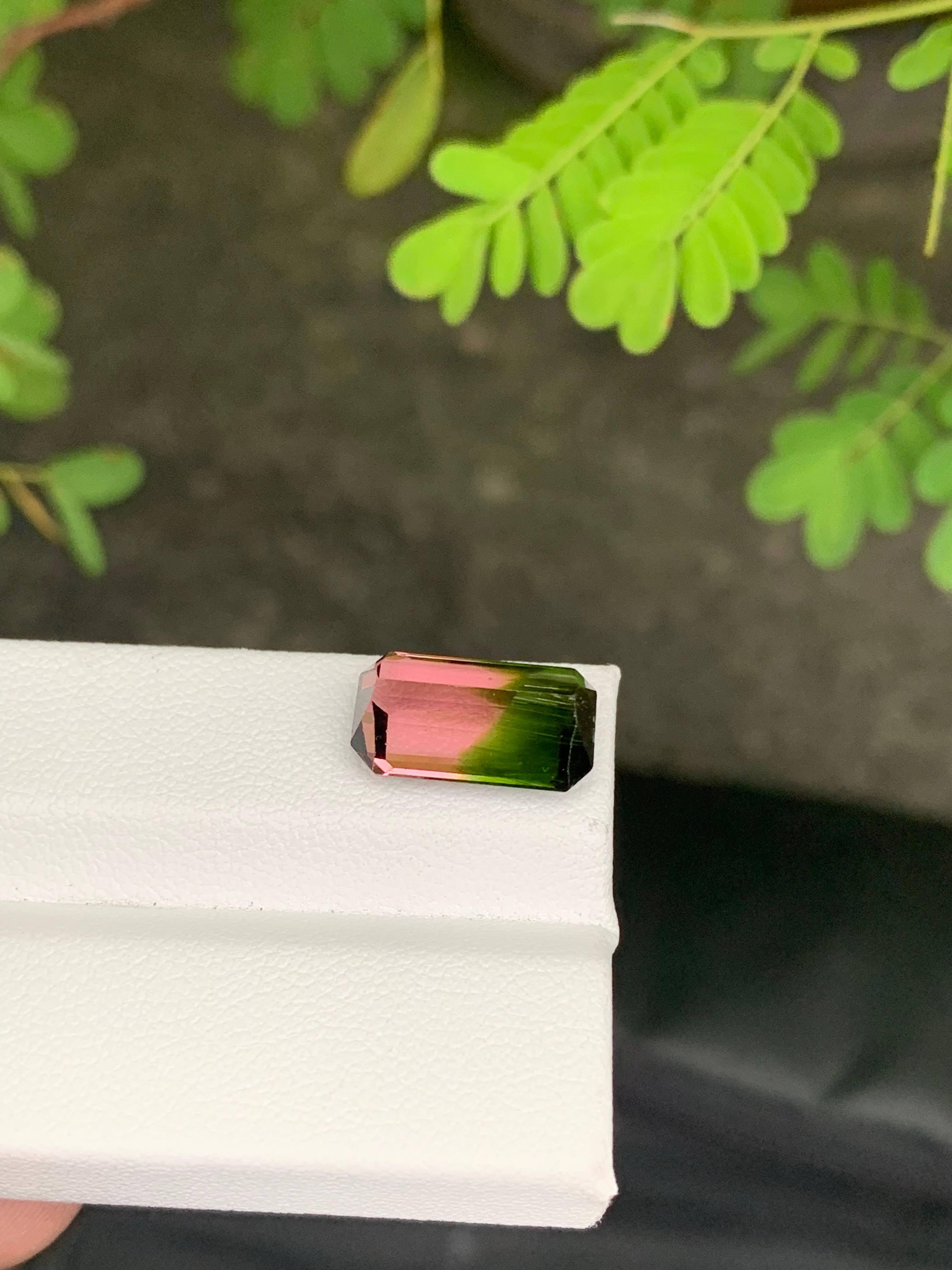 Taille émeraude 6.30 Carat Naturelle Bi Color Watermelon Tourmaline Afghan Gemstone en vente