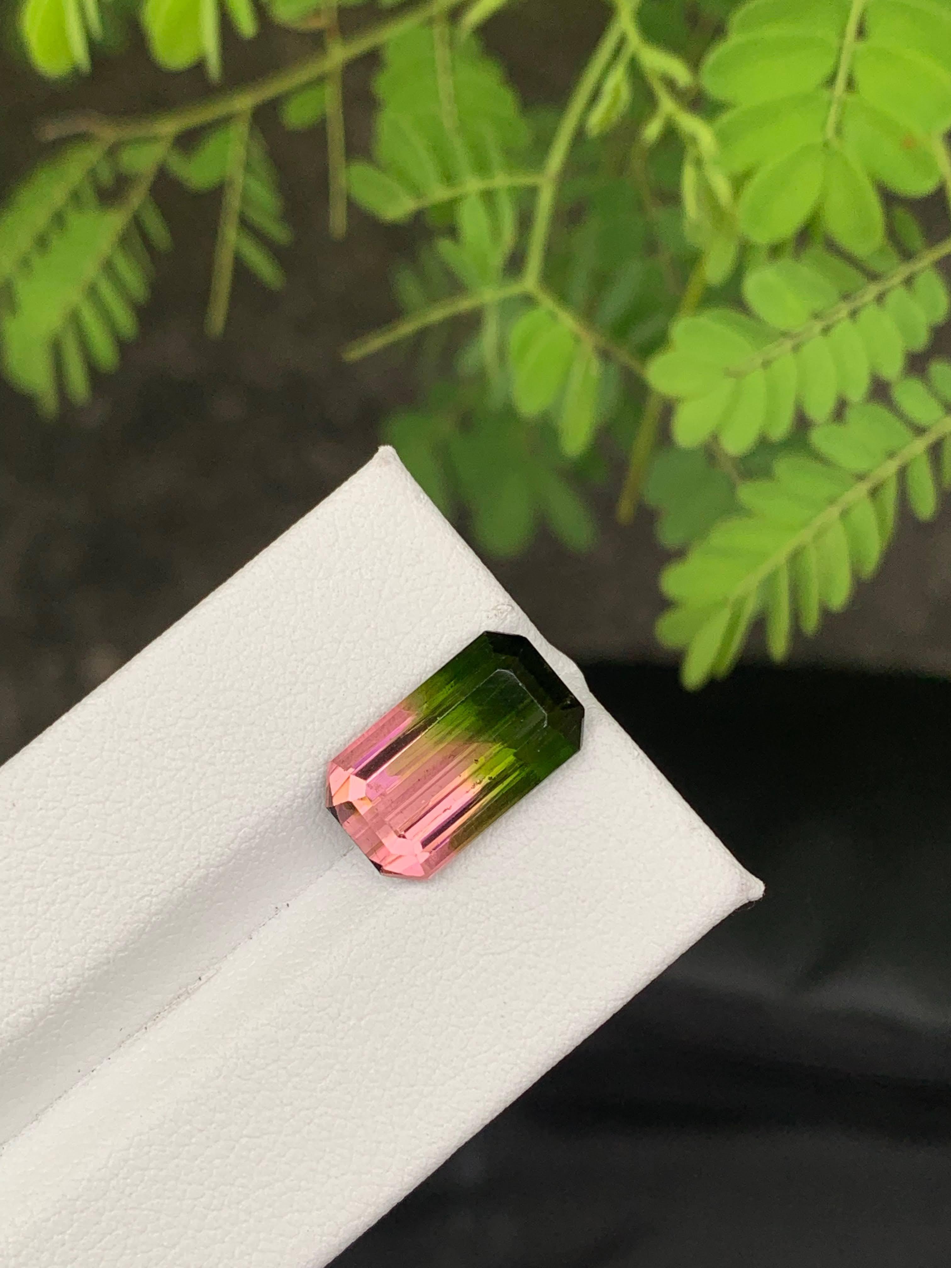 6.30 Carat Naturelle Bi Color Watermelon Tourmaline Afghan Gemstone Unisexe en vente
