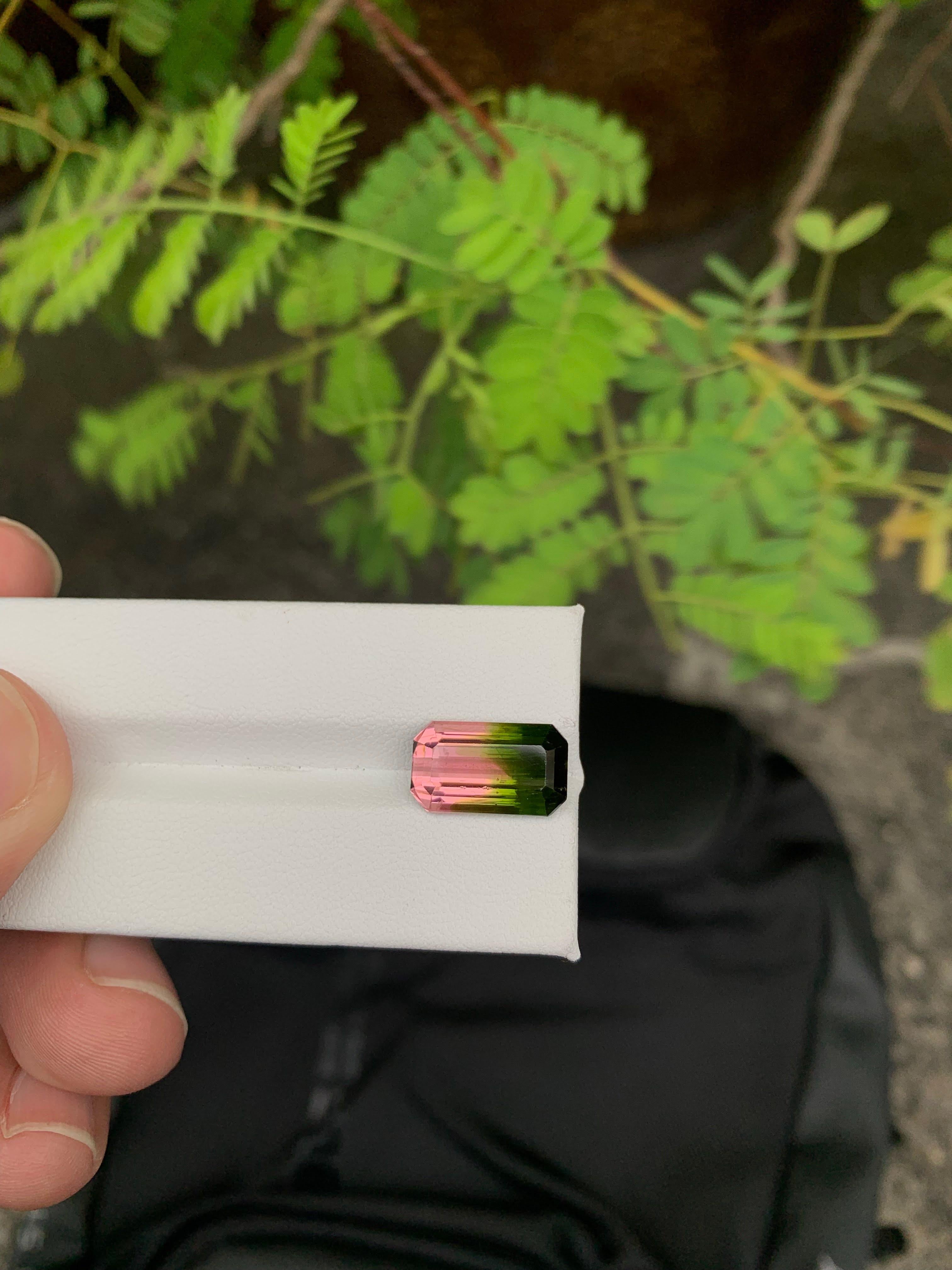 6.30 Carat Naturelle Bi Color Watermelon Tourmaline Afghan Gemstone en vente 2