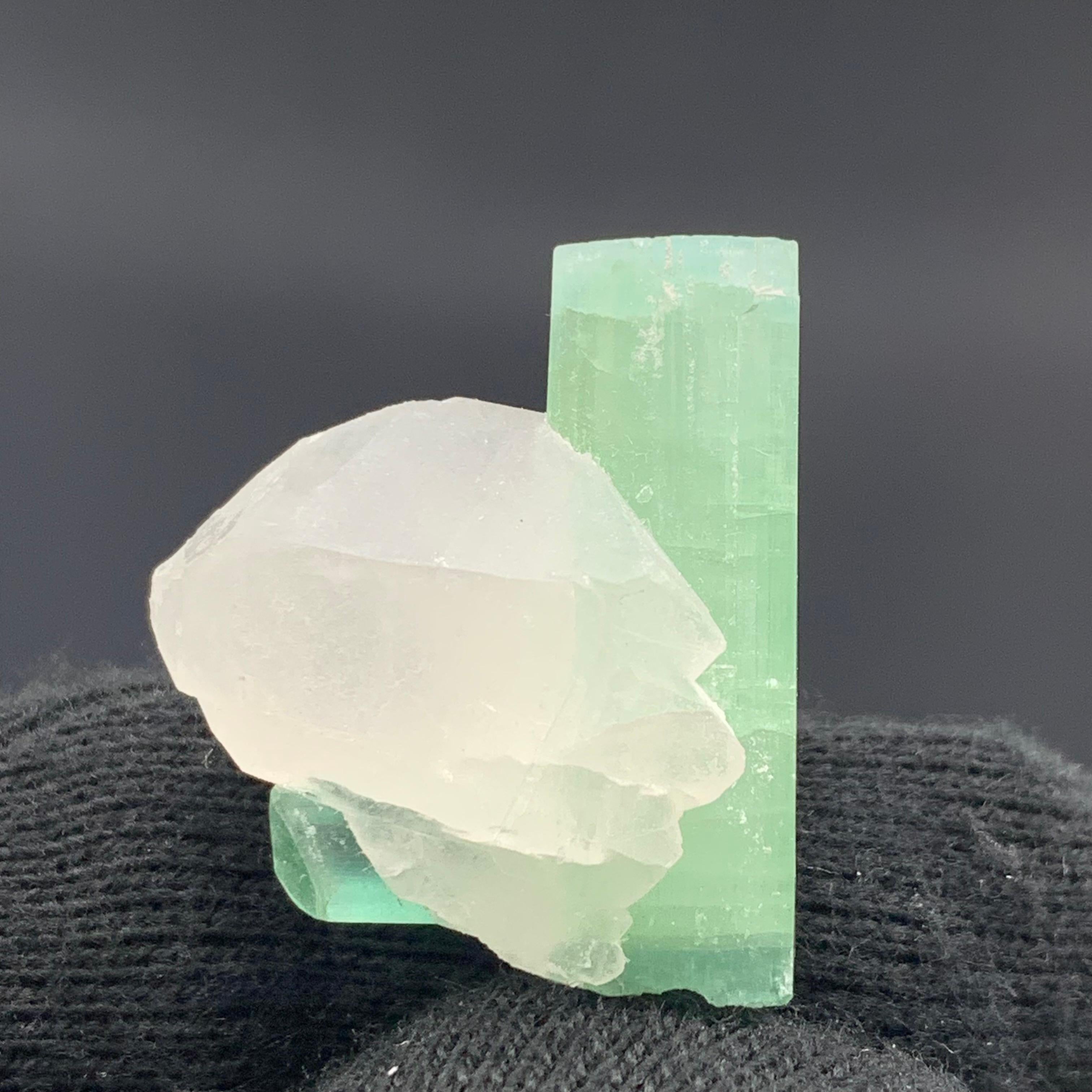 Other 6.30 Gram Stunning Tourmaline Crystals With Quartz From kunar,  Afghanistan For Sale