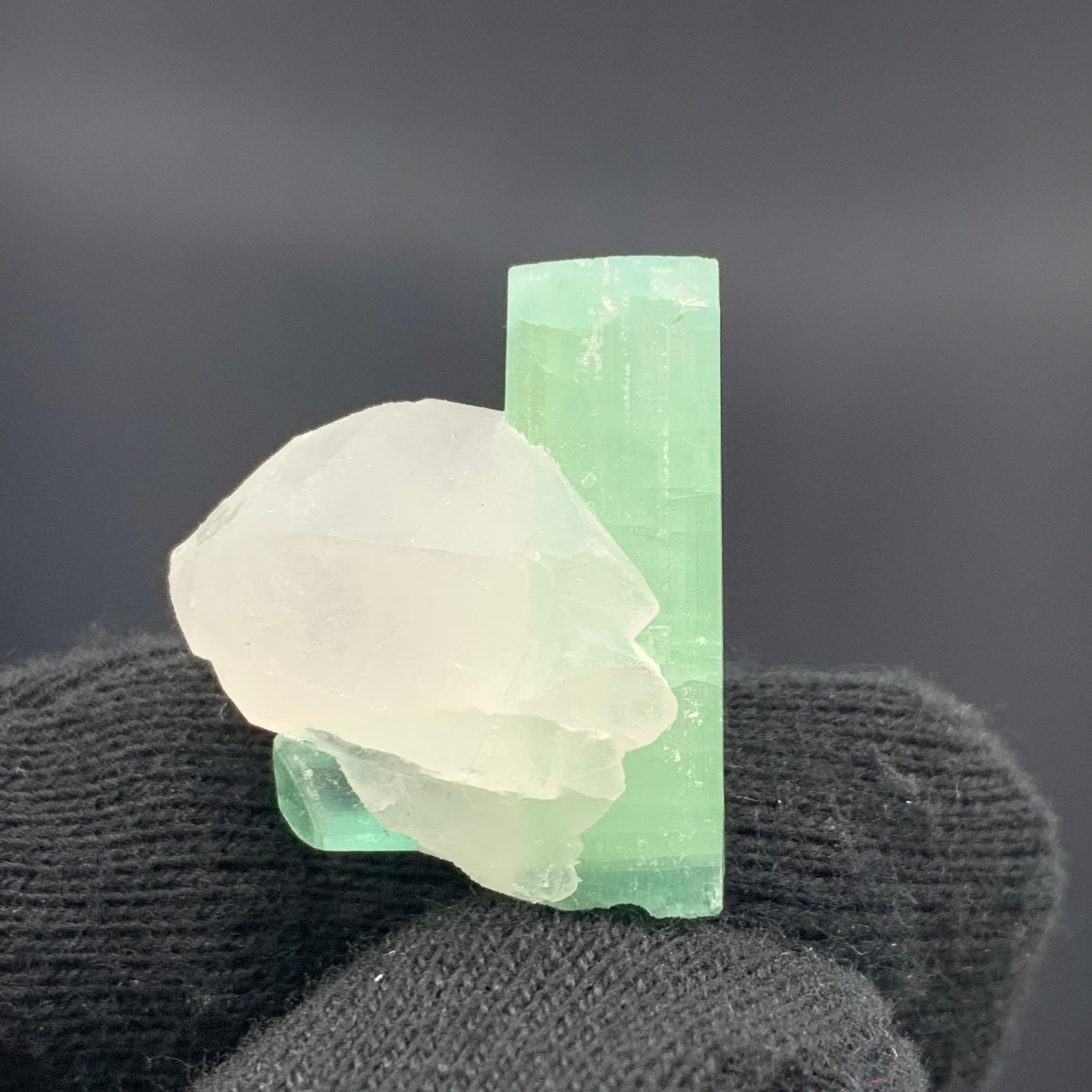 6.30 Gram Stunning Tourmaline Crystals With Quartz From kunar,  Afghanistan In Good Condition For Sale In Peshawar, PK