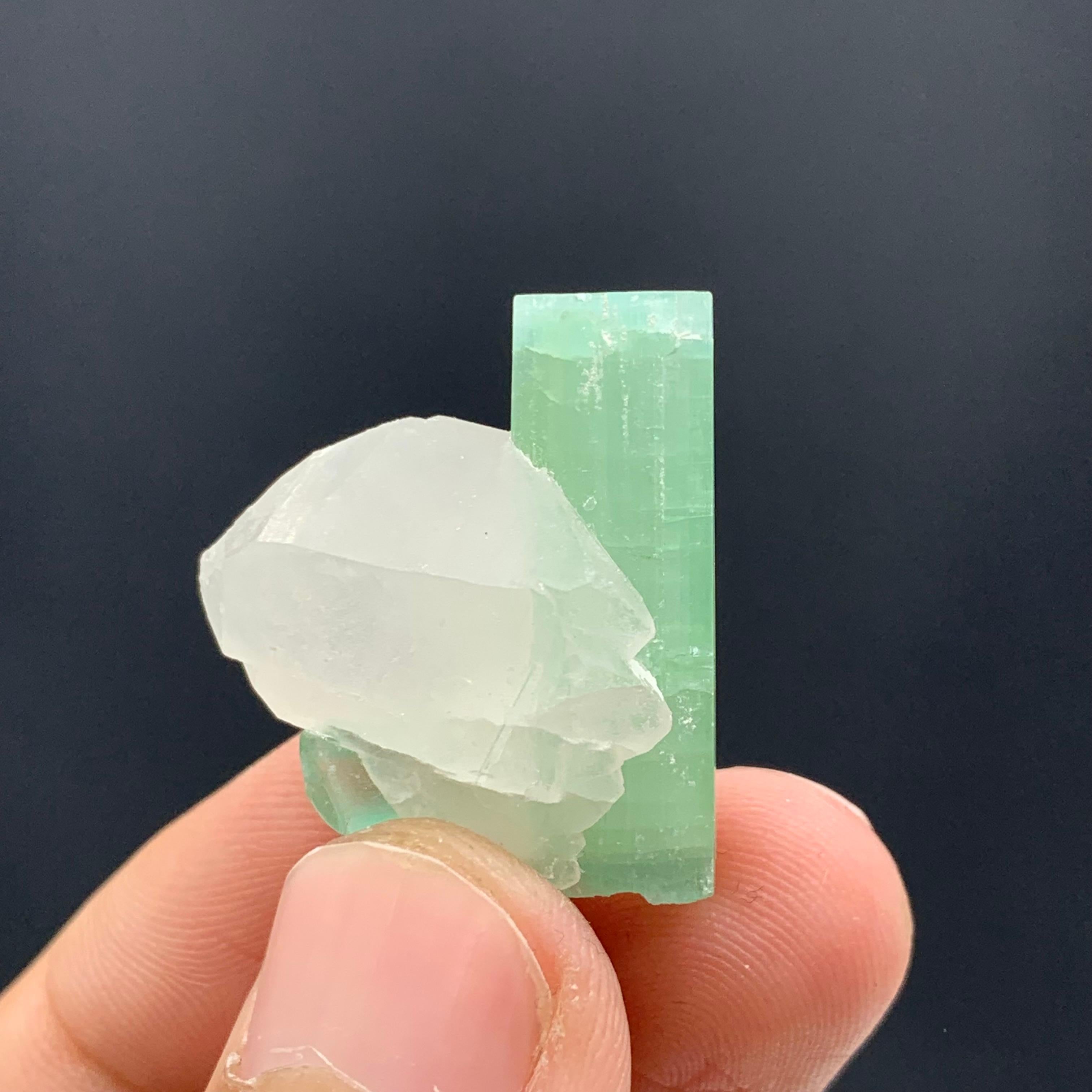 6.30 Gram Stunning Tourmaline Crystals With Quartz From kunar,  Afghanistan For Sale 2