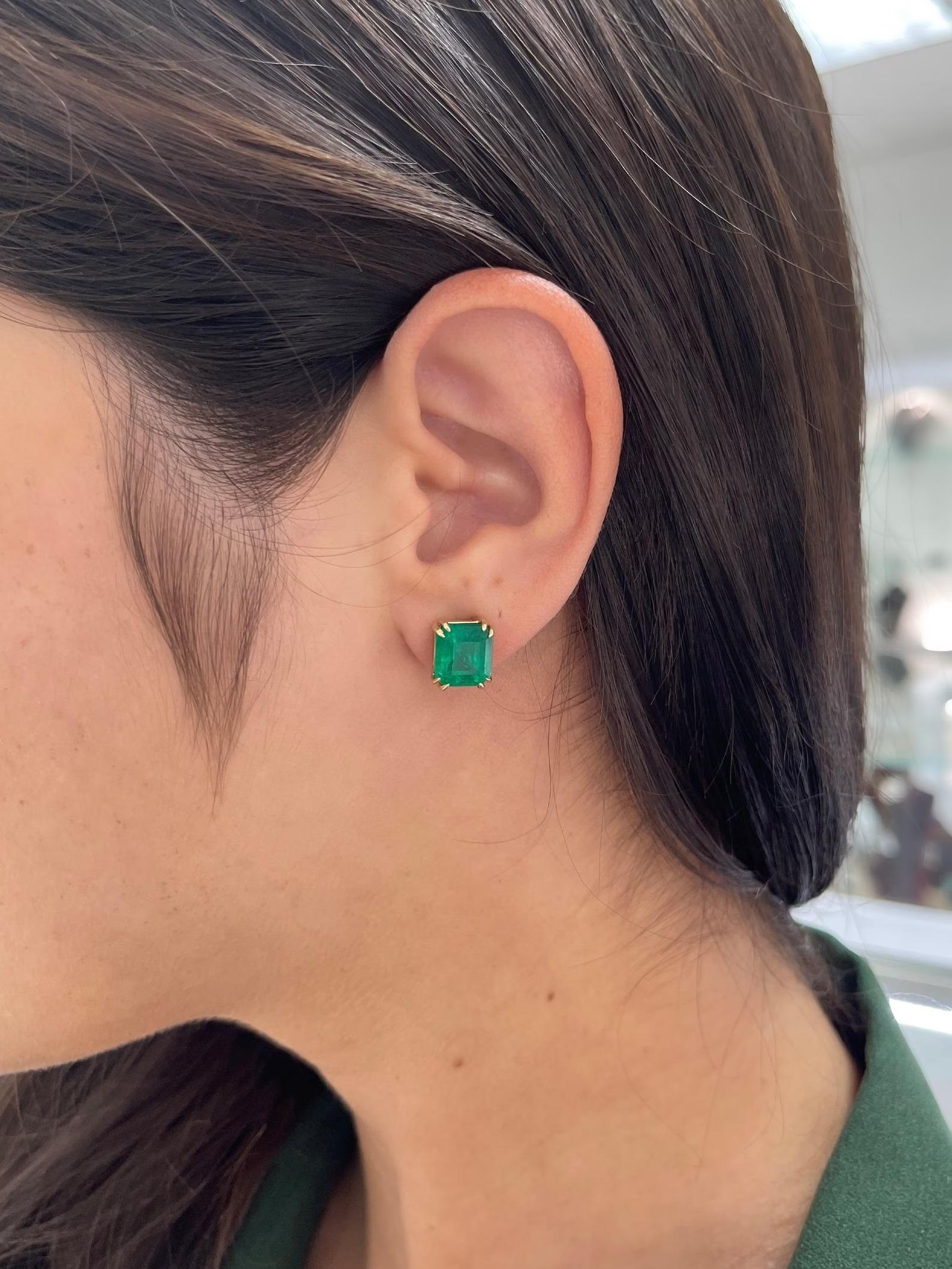 6,31tcw AAA Top Quality Emerald Colombian Double Prong Stud Earrings Oro 18K in vendita 2