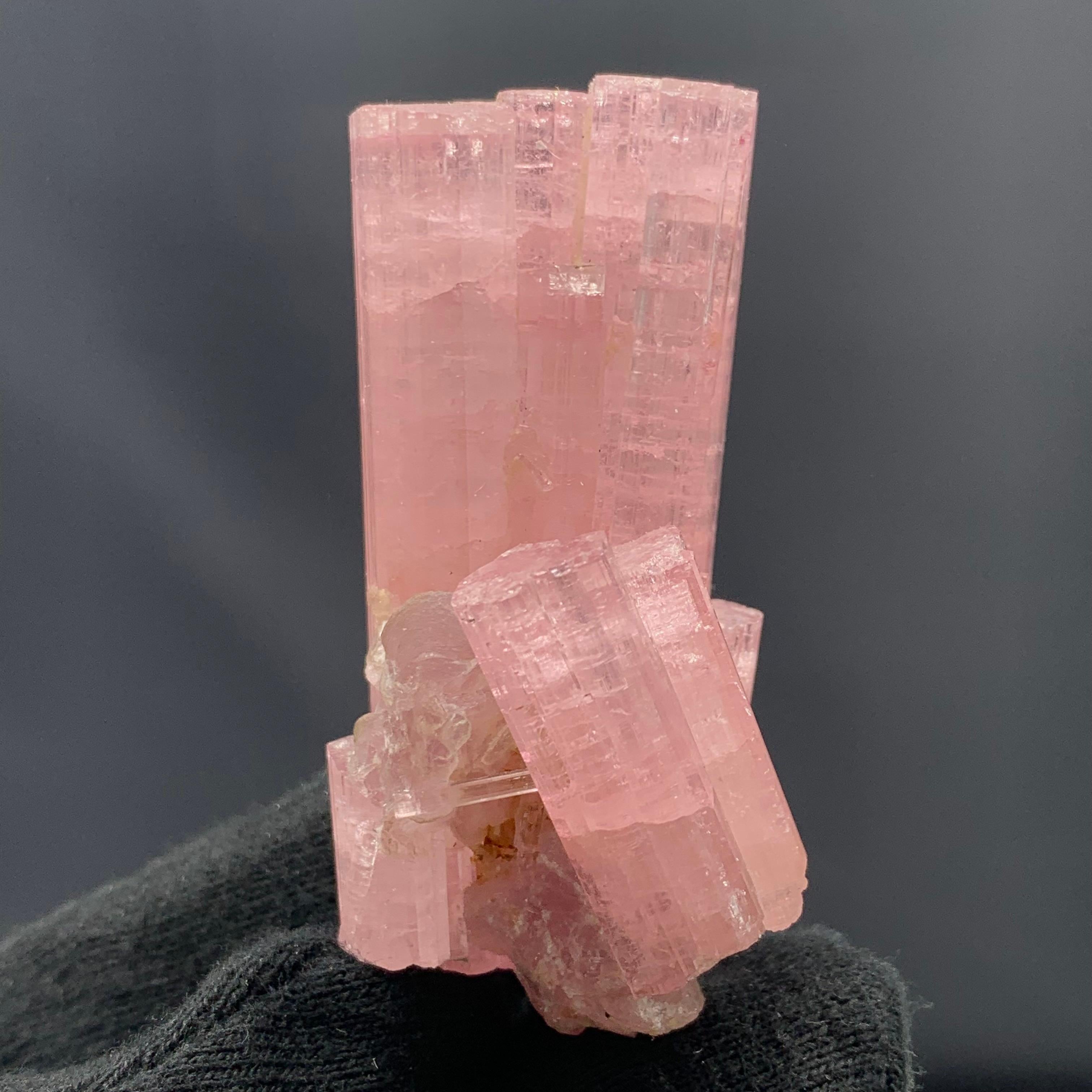 Adam Style 63.27 Gram Pretty Pink Tourmaline Crystal Bunch From Paprook Mine, Afghanistan  For Sale