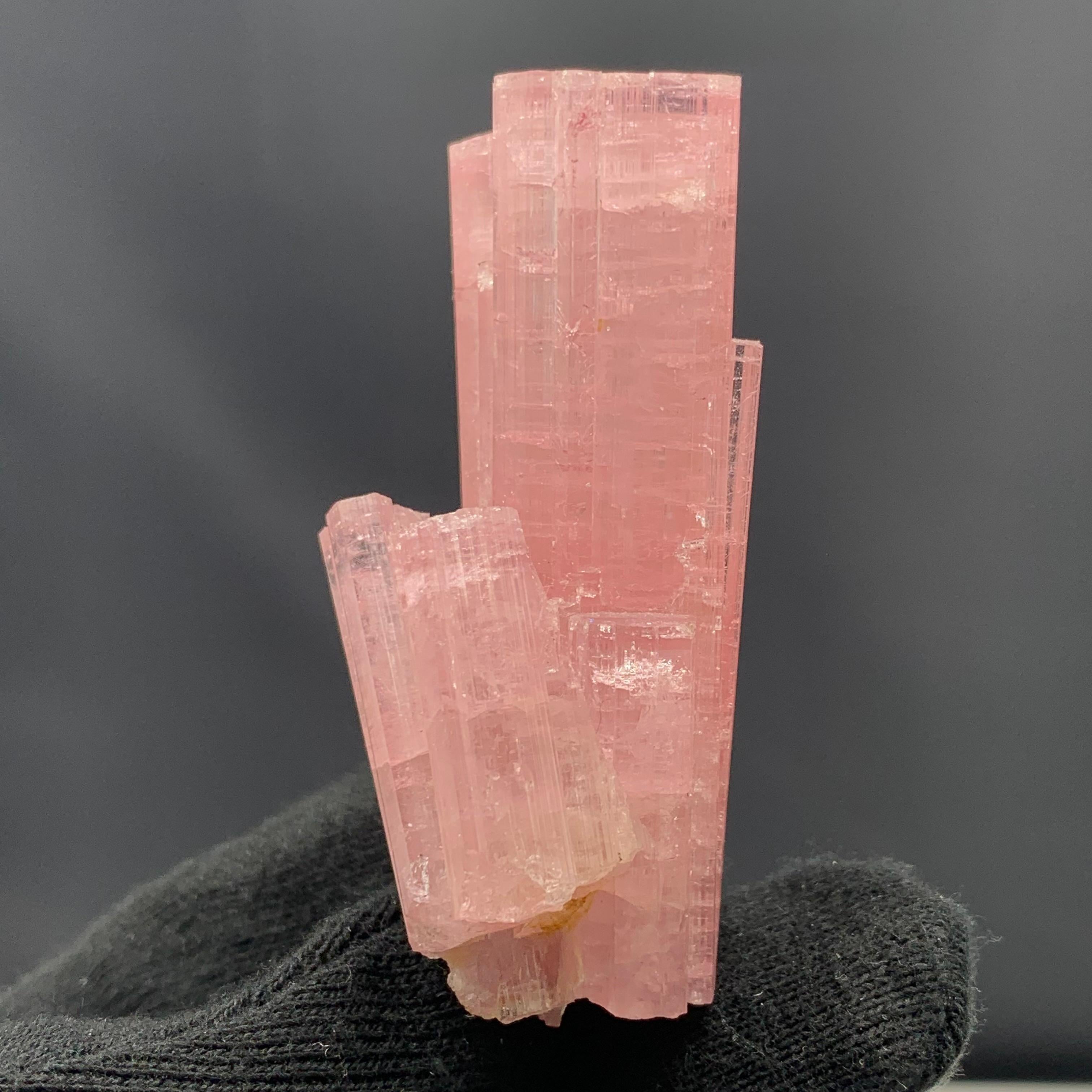 Other 63.27 Gram Pretty Pink Tourmaline Crystal Bunch From Paprook Mine, Afghanistan  For Sale