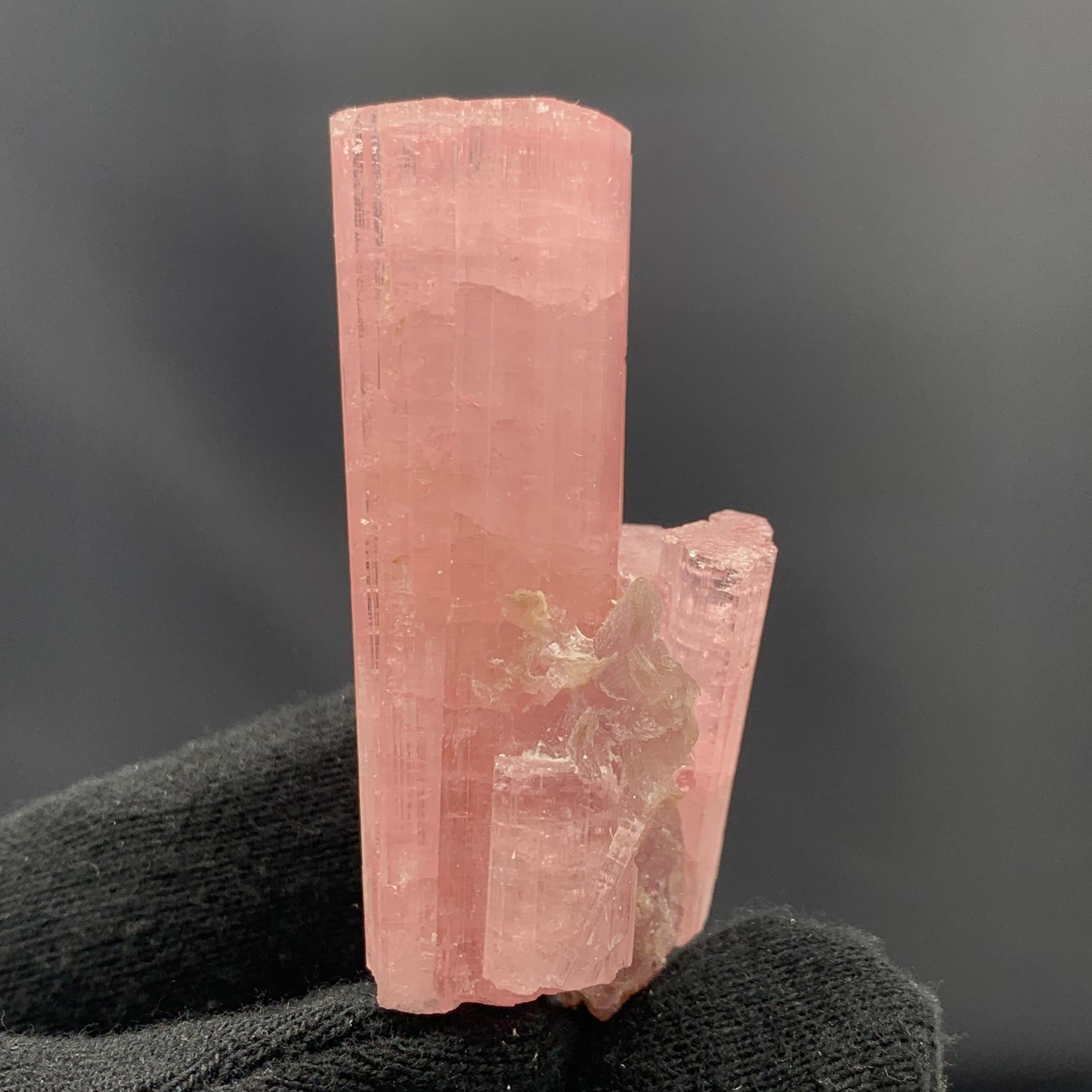 63.27 Gram Pretty Pink Tourmaline Crystal Bunch From Paprook Mine, Afghanistan  In Good Condition For Sale In Peshawar, PK