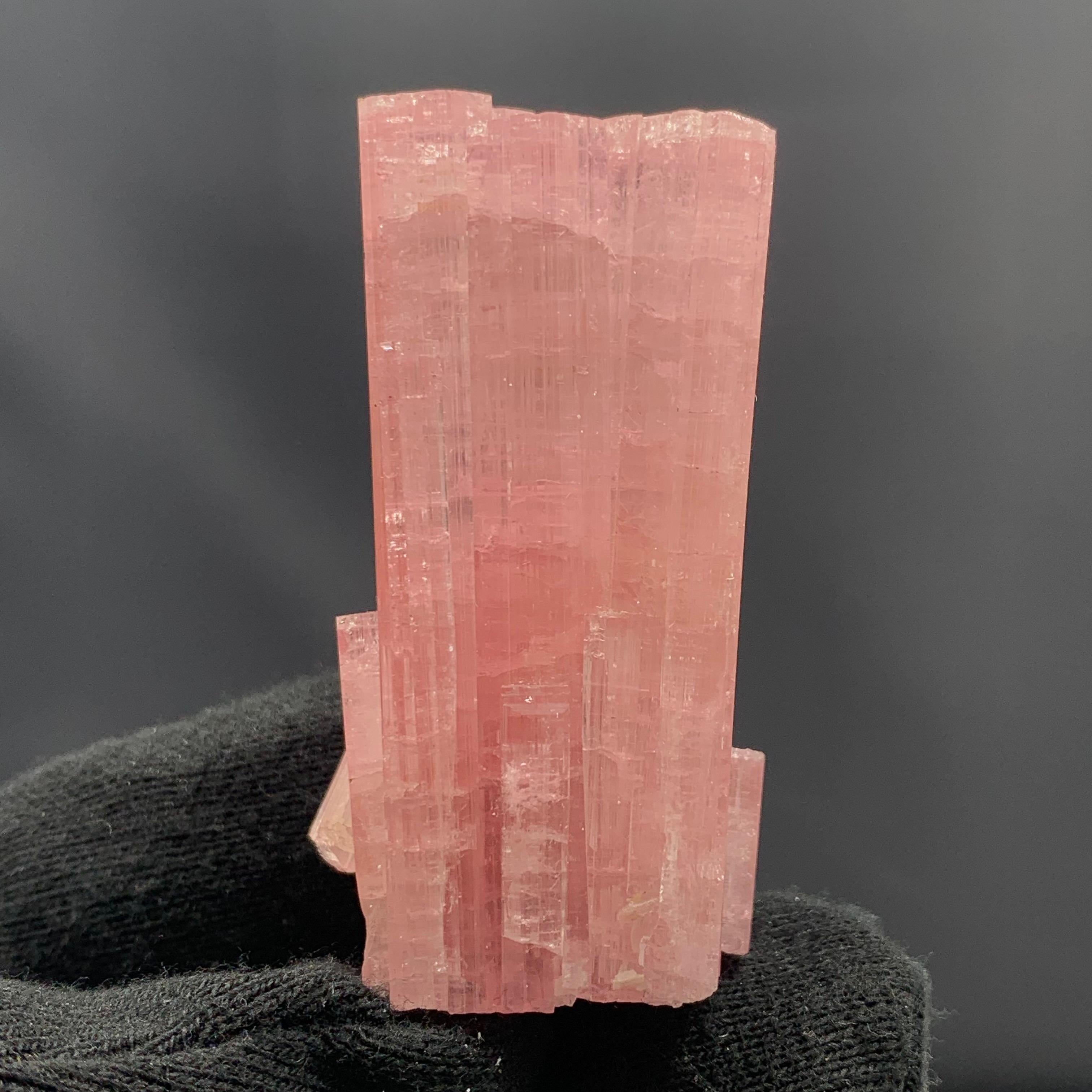 18th Century and Earlier 63.27 Gram Pretty Pink Tourmaline Crystal Bunch From Paprook Mine, Afghanistan  For Sale
