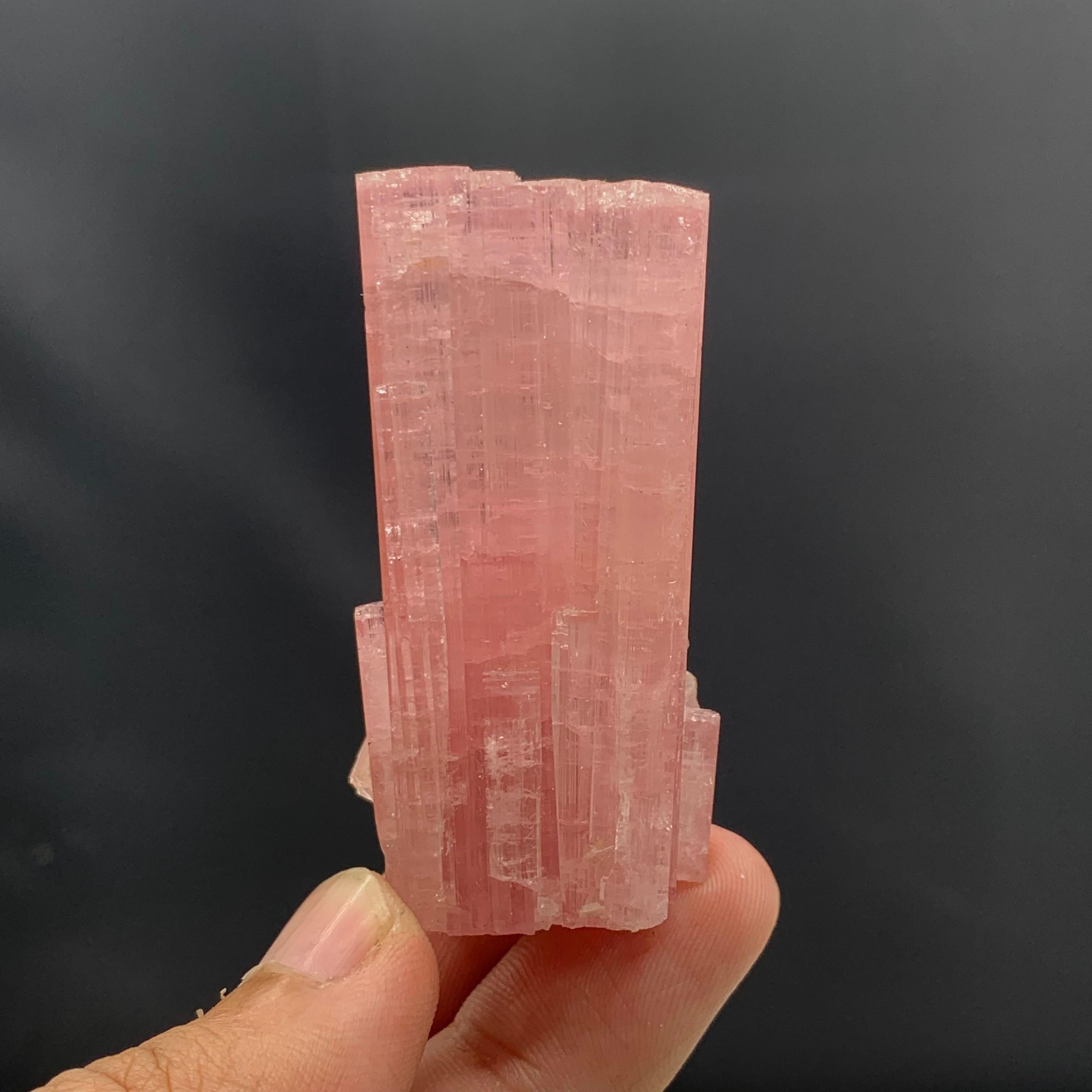 Rock Crystal 63.27 Gram Pretty Pink Tourmaline Crystal Bunch From Paprook Mine, Afghanistan  For Sale