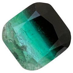 6.35 Karat Natürliche Lose Bi Farbe Turmalin Kissen Form Edelstein für Halskette