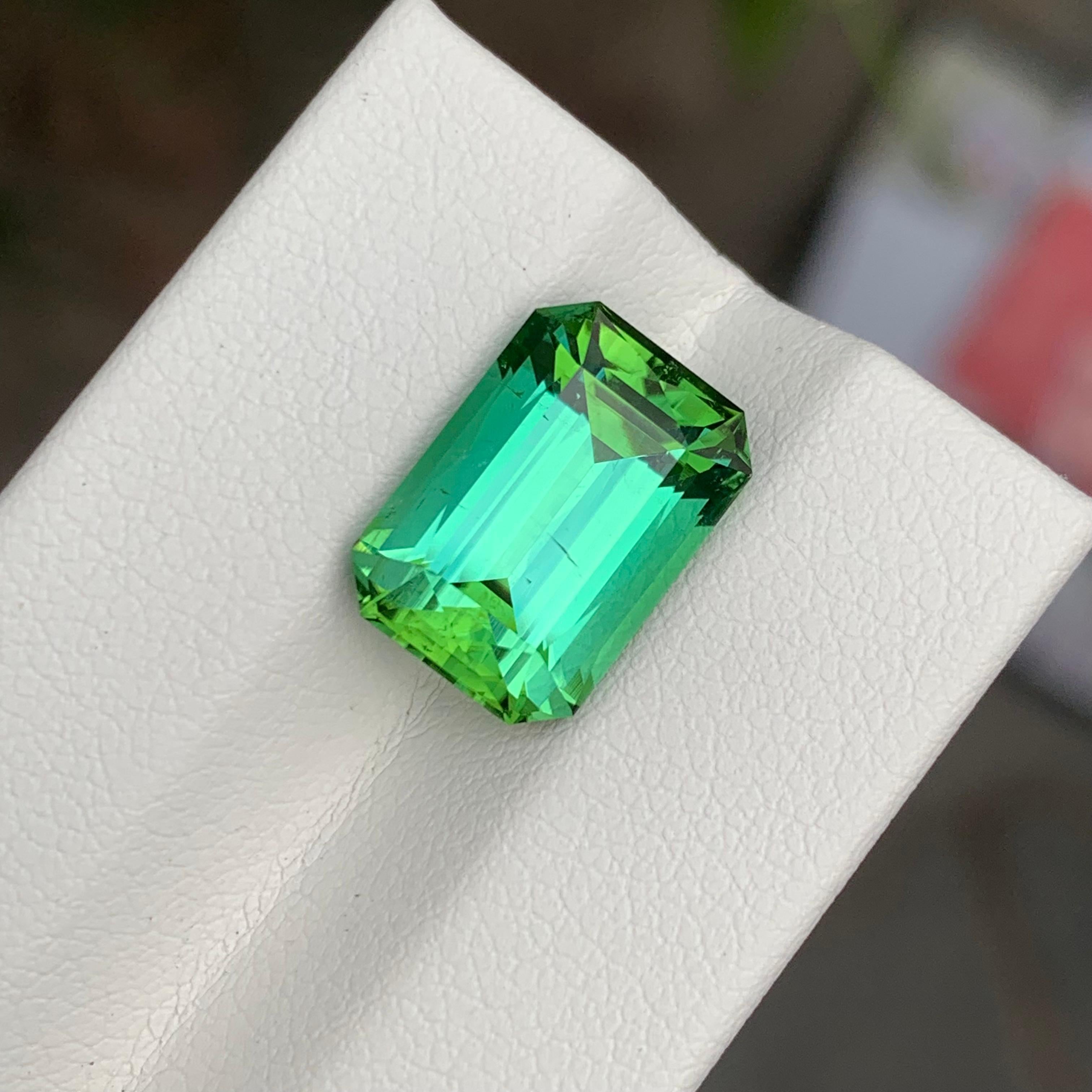 Tourmaline à facettes
Poids : 6,35 carats
Dimension : 12.8x8.9x6.9 Mm
Origine : Kunar Afghanistan 
Forme : Émeraude 
Coupe : Ciseaux 
Traitement : Non
Couleur : vert lagon
Certificat : Sur demande du client 
Personnalisation possible, veuillez