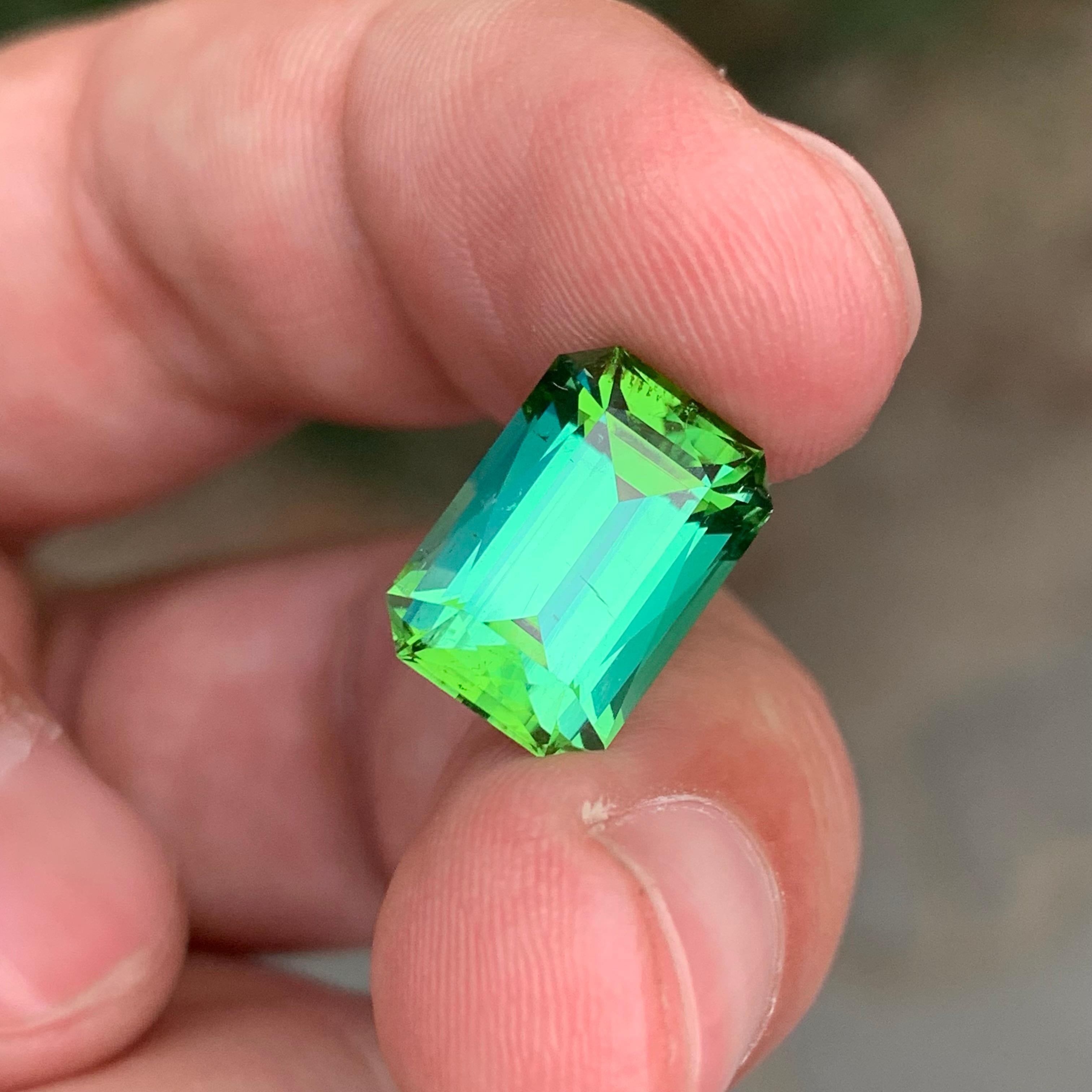 Arts and Crafts 6.35 Carats Loose Lagoonish Green Tourmaline Gemstone (Tourmaline verte lagunaire en vrac) en vente