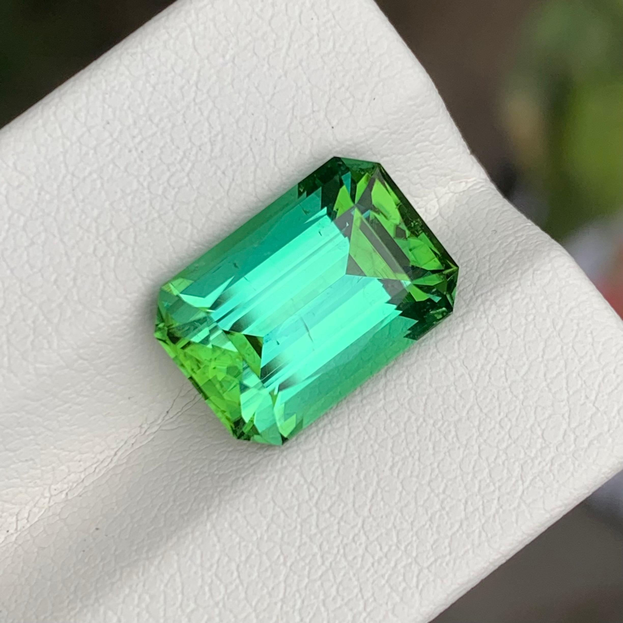6.35 Carats Loose Lagoonish Green Tourmaline Gemstone (Tourmaline verte lagunaire en vrac) en vente 3