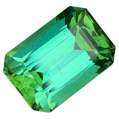 6.35 Carats Loose Lagoonish Green Tourmaline Gemstone (Tourmaline verte lagunaire en vrac)