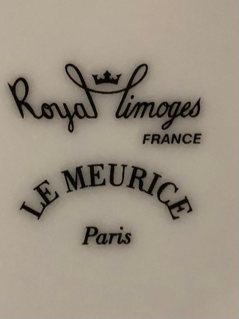 64 Pieces Royal Limoges France Porcelain Dinner Set 1
