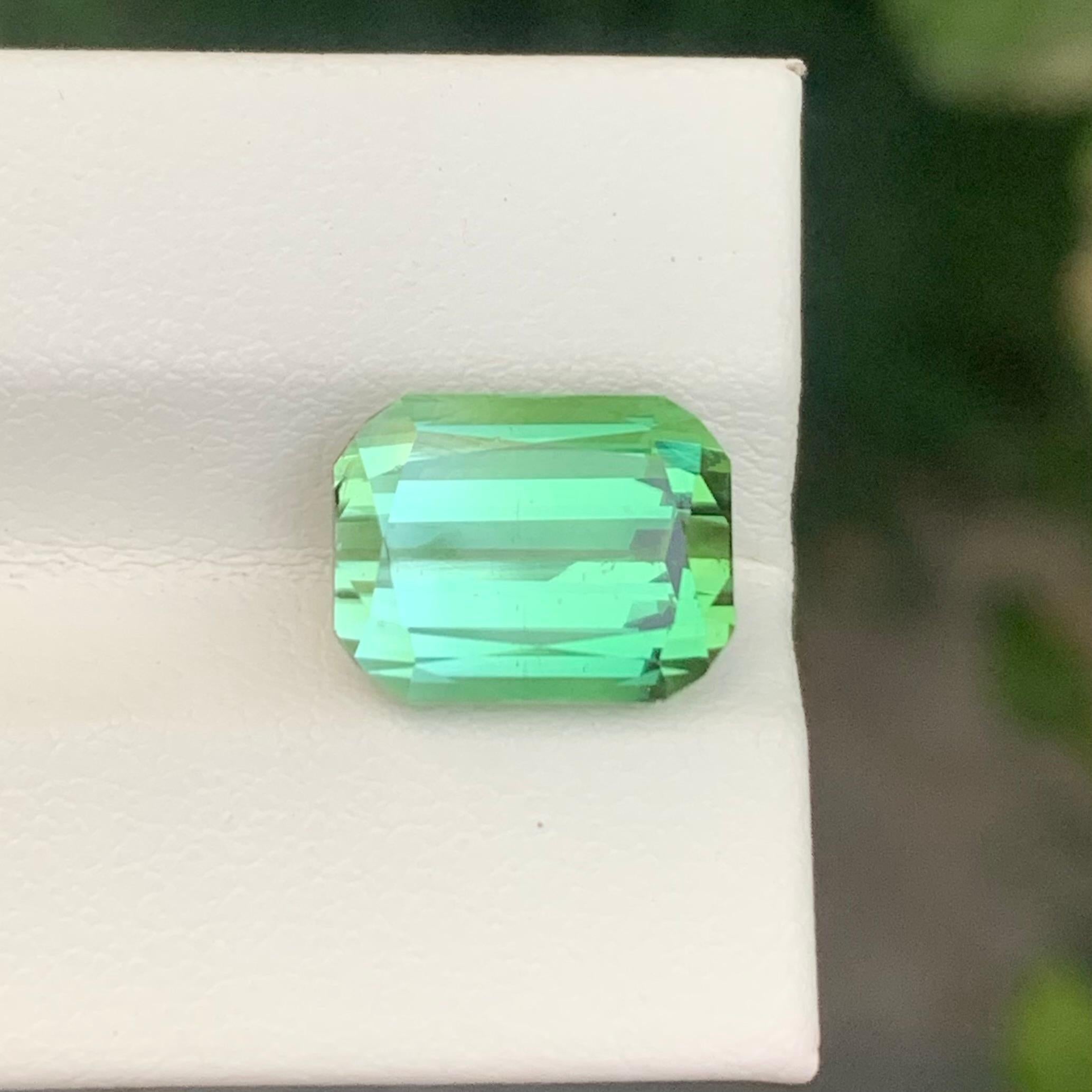Faceted Bi Colour Tourmaline

Weight: 6.40 Carat
Dimension: 11.3 x 8.7 x 7.3 Mm
Colour: Green And White 
Treatment: Non
Certificate: On Customer Demand
Shape: Cushion


Tourmaline is a captivating gemstone known for its remarkable variety of colors,
