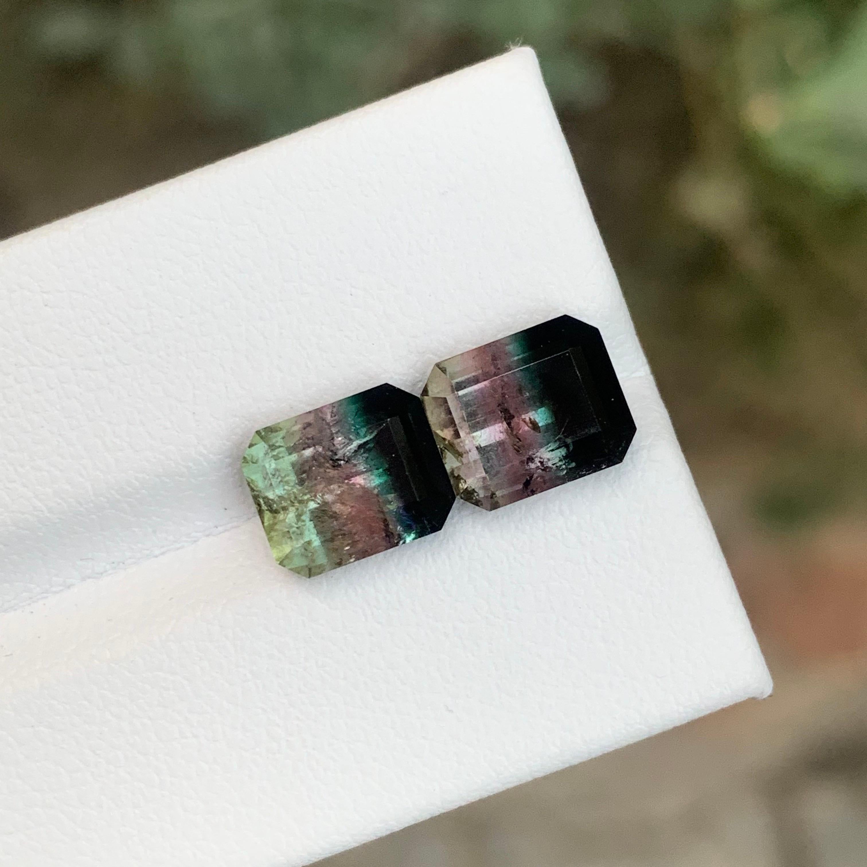 Coppia di tormaline sfaccettate 

Peso: 6,40 Carati
Dimensioni: 8,8 x 7 x 5,5 mm
Origine: Afghanistan
Trattamento: Non
Certificato: Su richiesta del cliente


La tormalina è una gemma affascinante nota per la sua notevole varietà di colori, che la