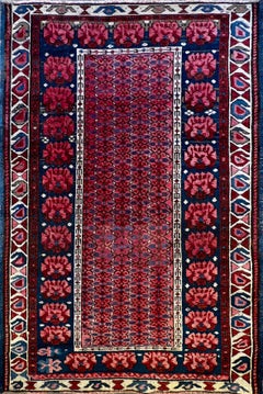 Antique  Important Seikhour Rug from Russia , 19th Century - N° 640