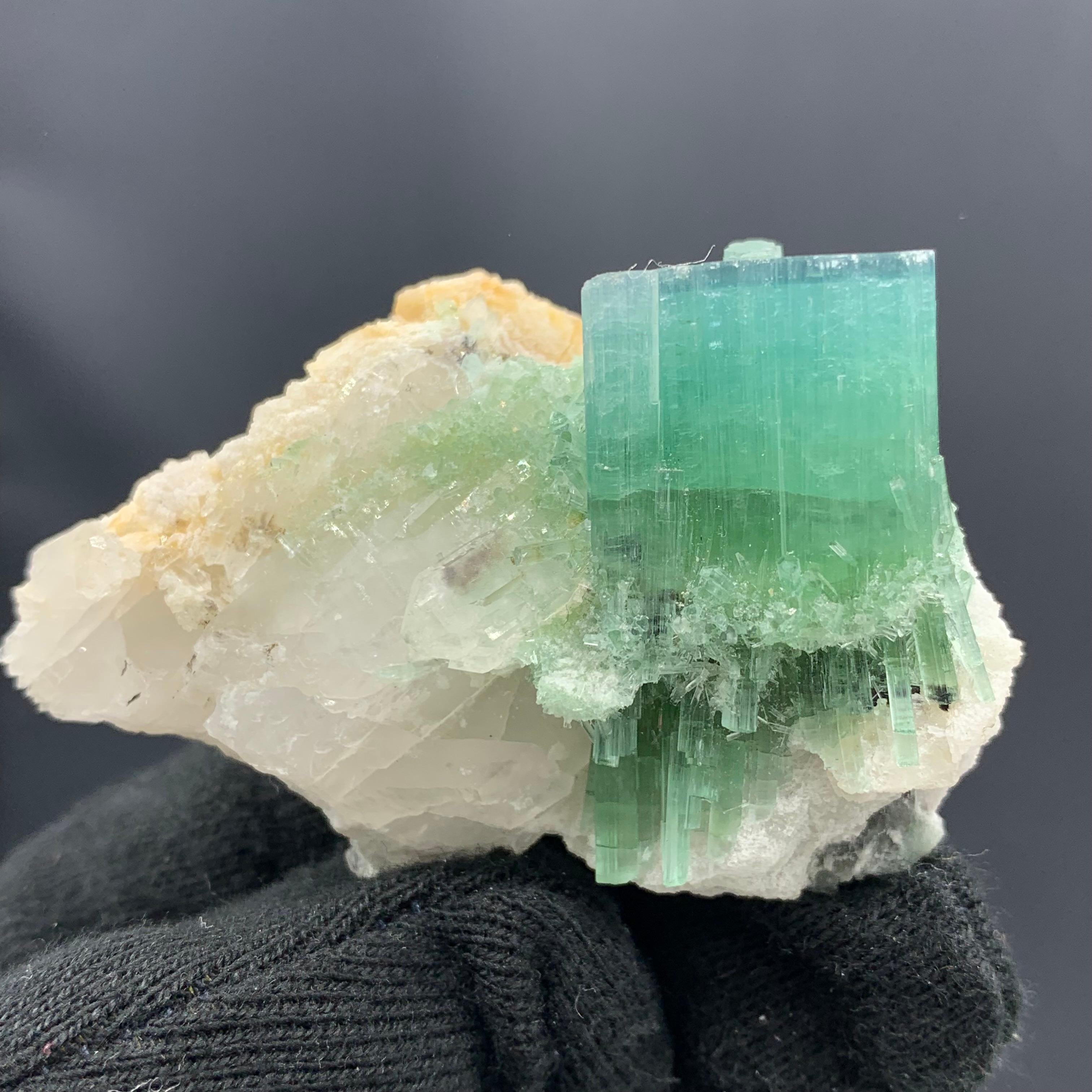 64.13 Gram Incredible Blue Cap Tri Colour Tourmaline Specimen From Afghanistan 

Weight: 64.13 Gram
Dimension: 3.9 x 5.7 x 3.4 Cm
Origin: kunar, Afghanistan 


Tourmaline is a crystalline silicate mineral group in which boron is compounded with