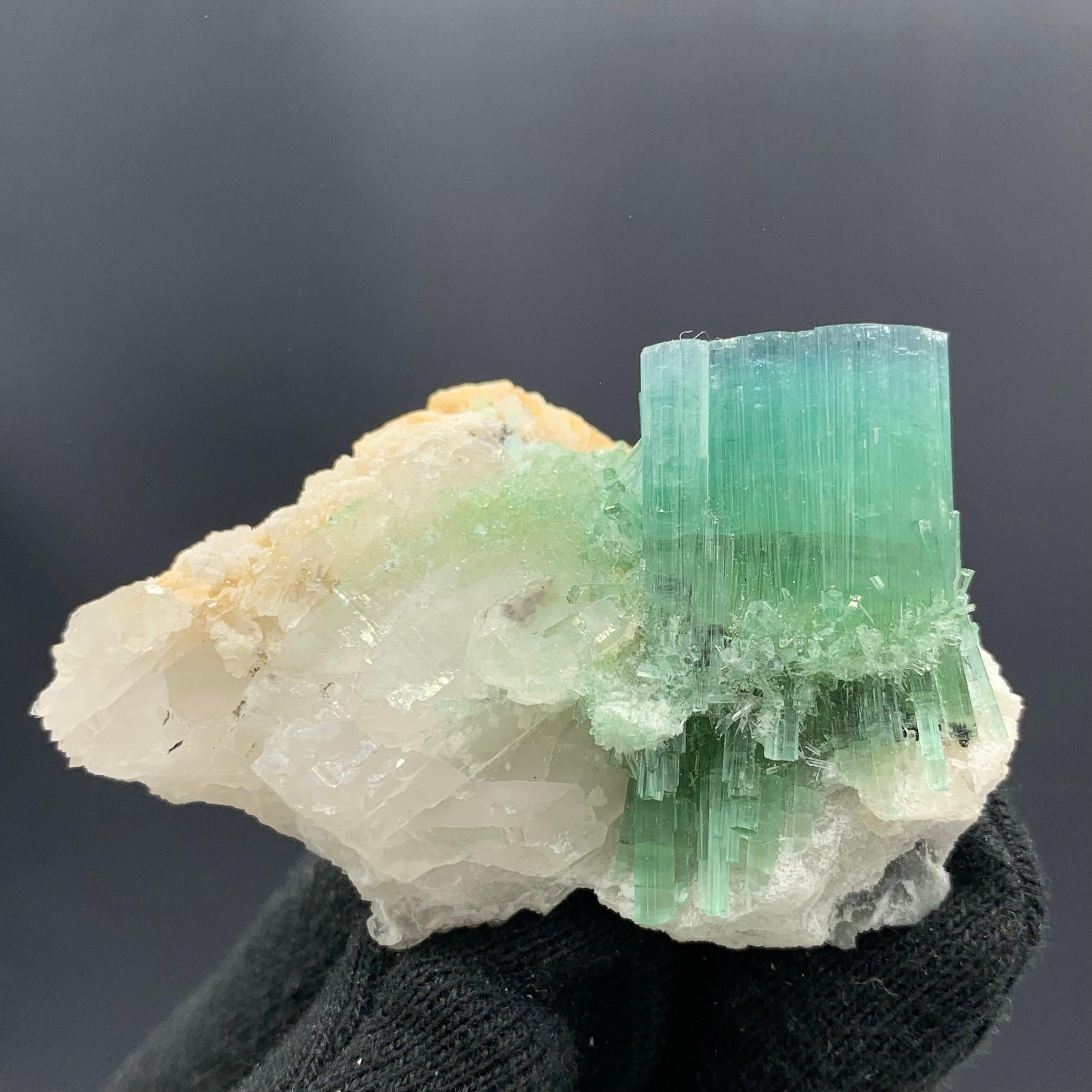 Other 64.13 Gram Incredible Blue Cap Tri Colour Tourmaline Specimen From Afghanistan  For Sale