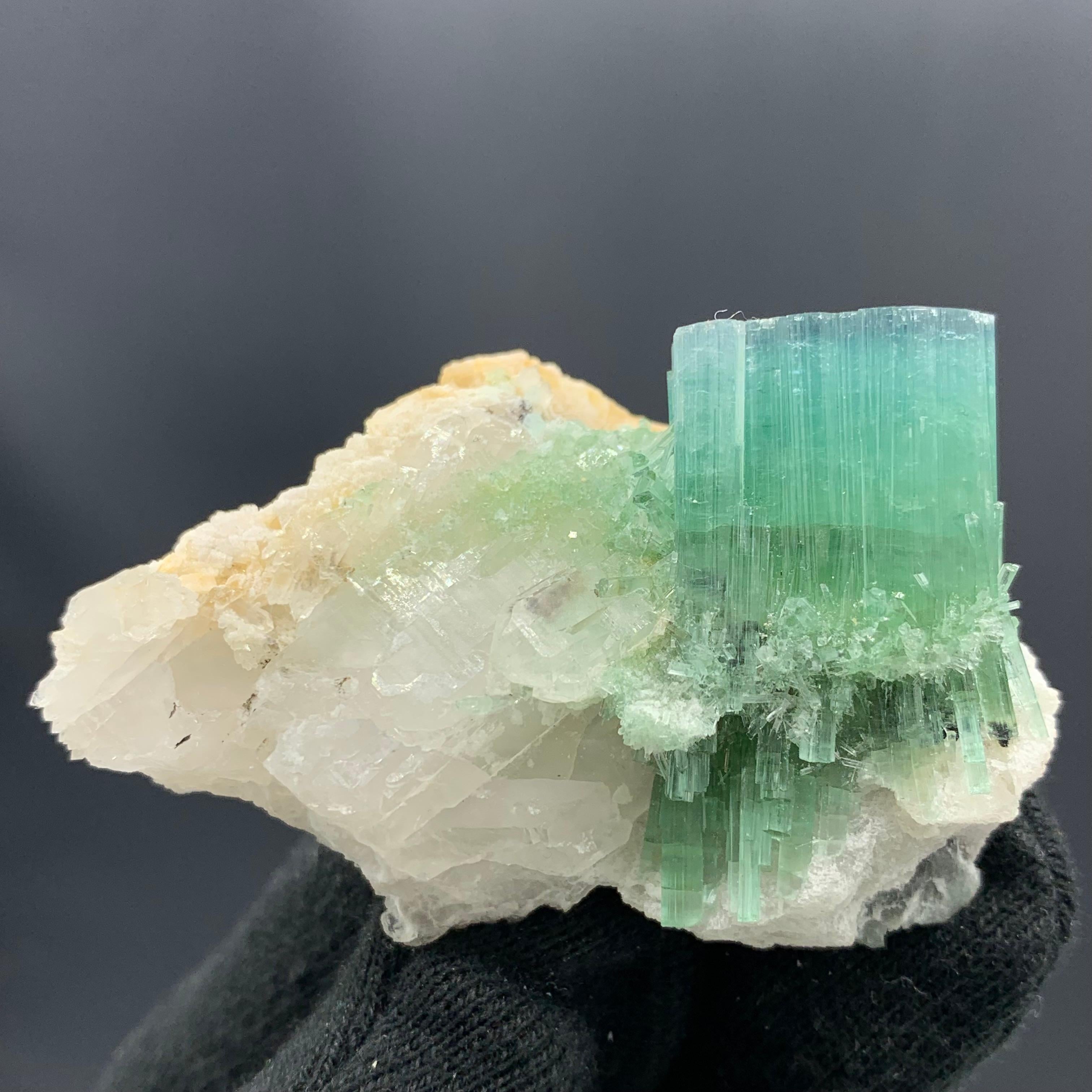 64.13 Gram Incredible Blue Cap Tri Colour Tourmaline Specimen From Afghanistan  In Good Condition For Sale In Peshawar, PK