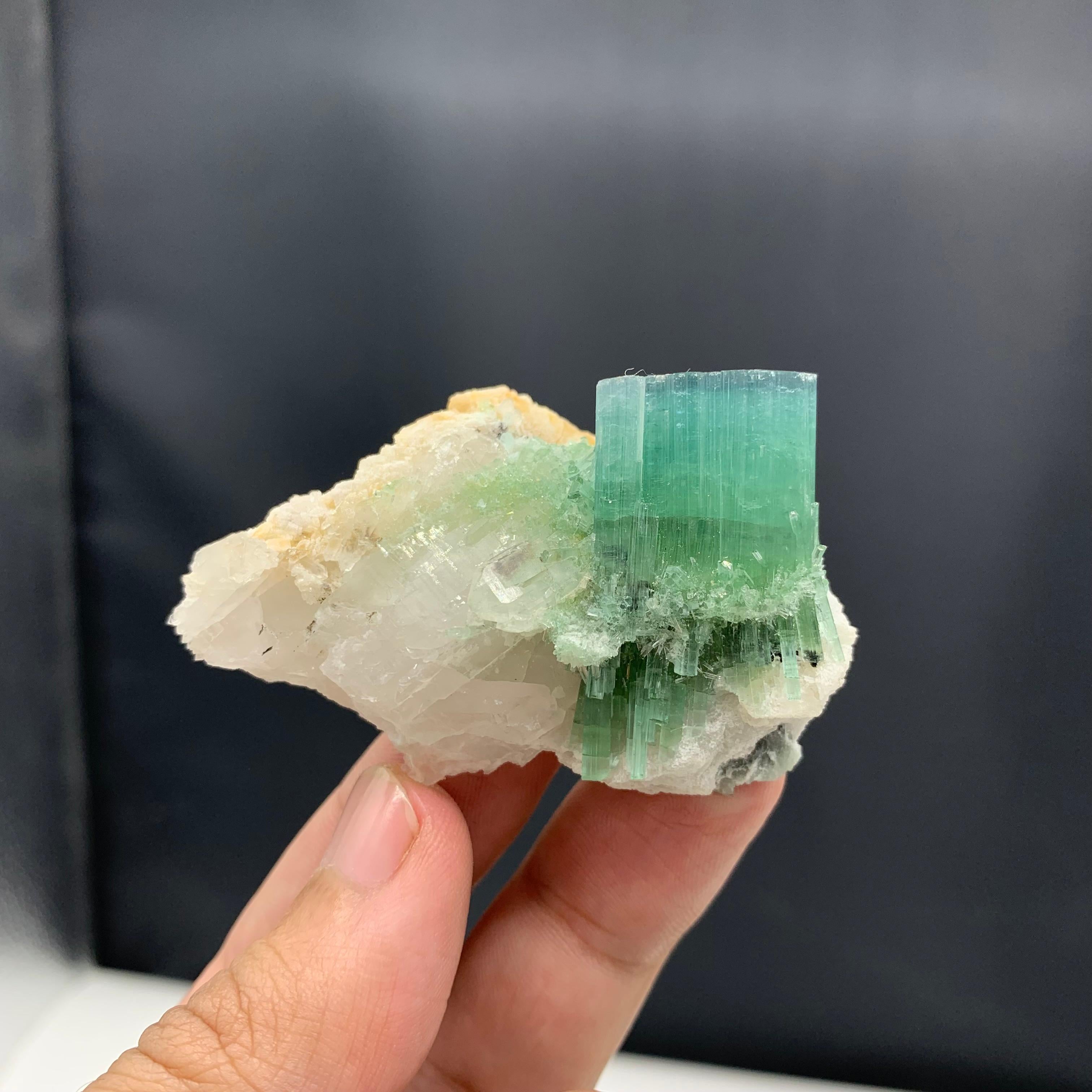 Rock Crystal 64.13 Gram Incredible Blue Cap Tri Colour Tourmaline Specimen From Afghanistan  For Sale