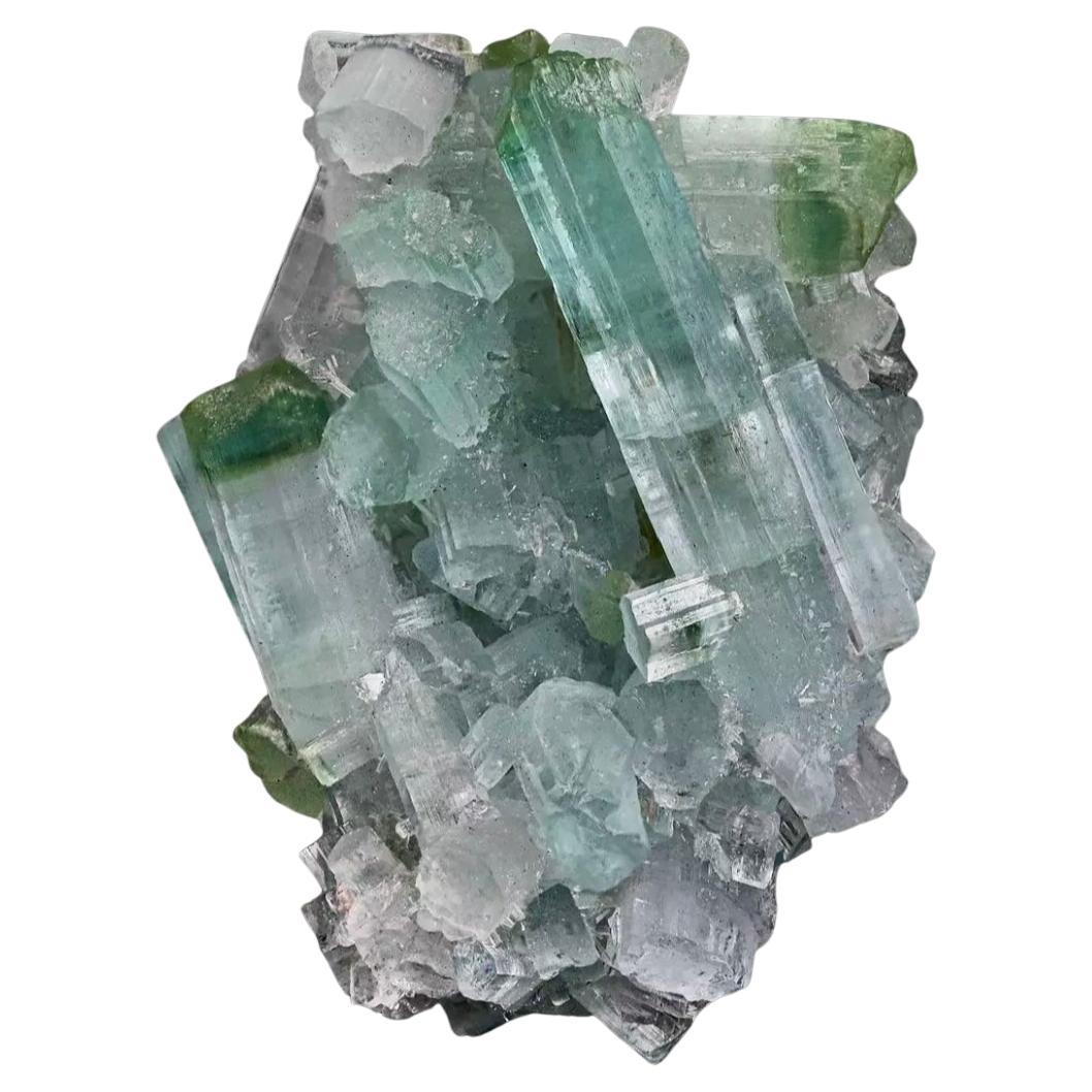 64.25 Carat Sublime Tourmaline Small Crystals Specimen from Afghanistan For Sale