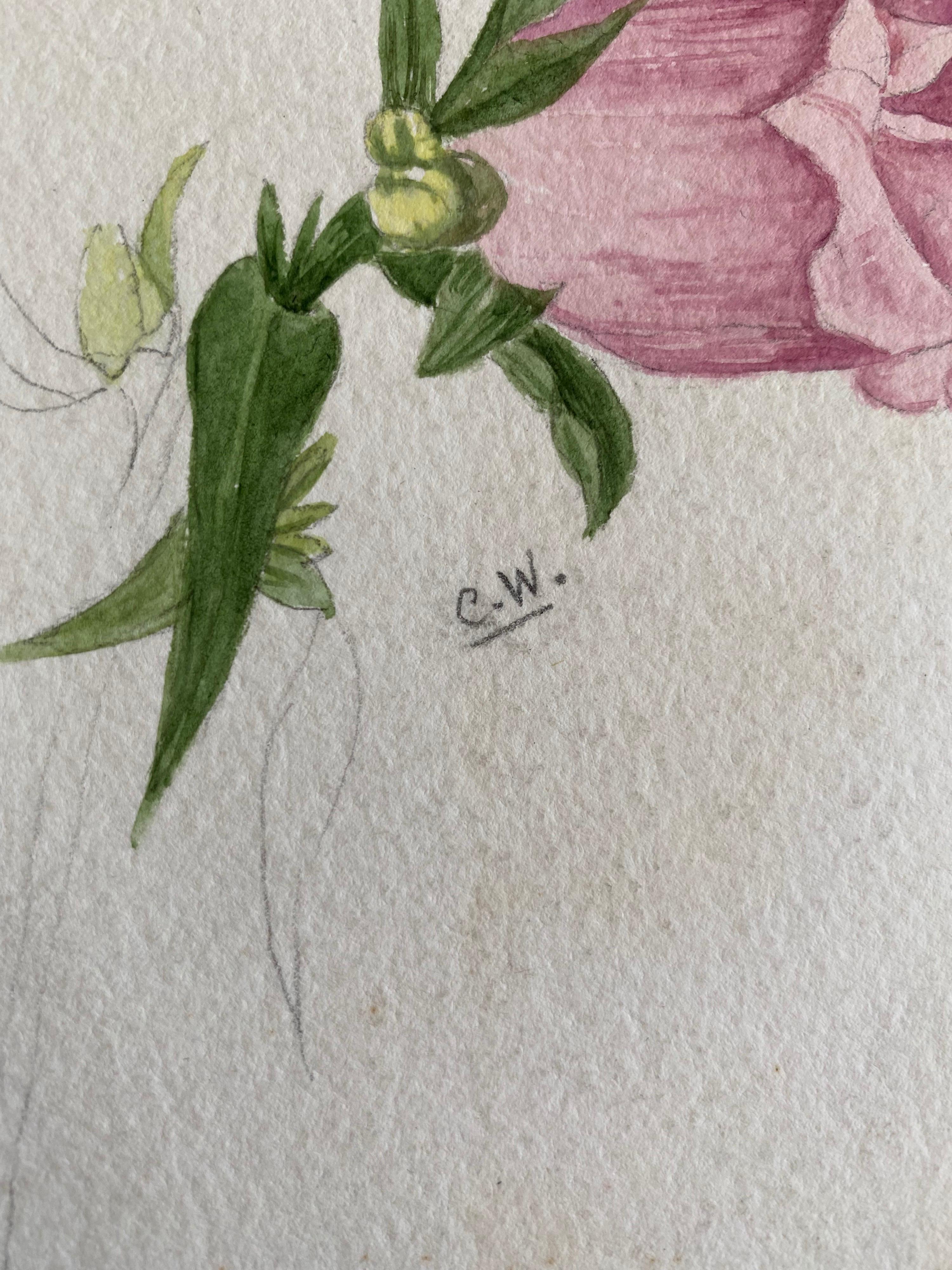 Fine Antique British Botannical Watercolour Painting, circa 1900's - Victorian Art by Unknown