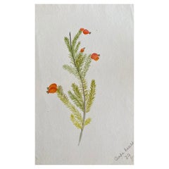 Fine Antique British Botannical Watercolour Painting, circa 1900's