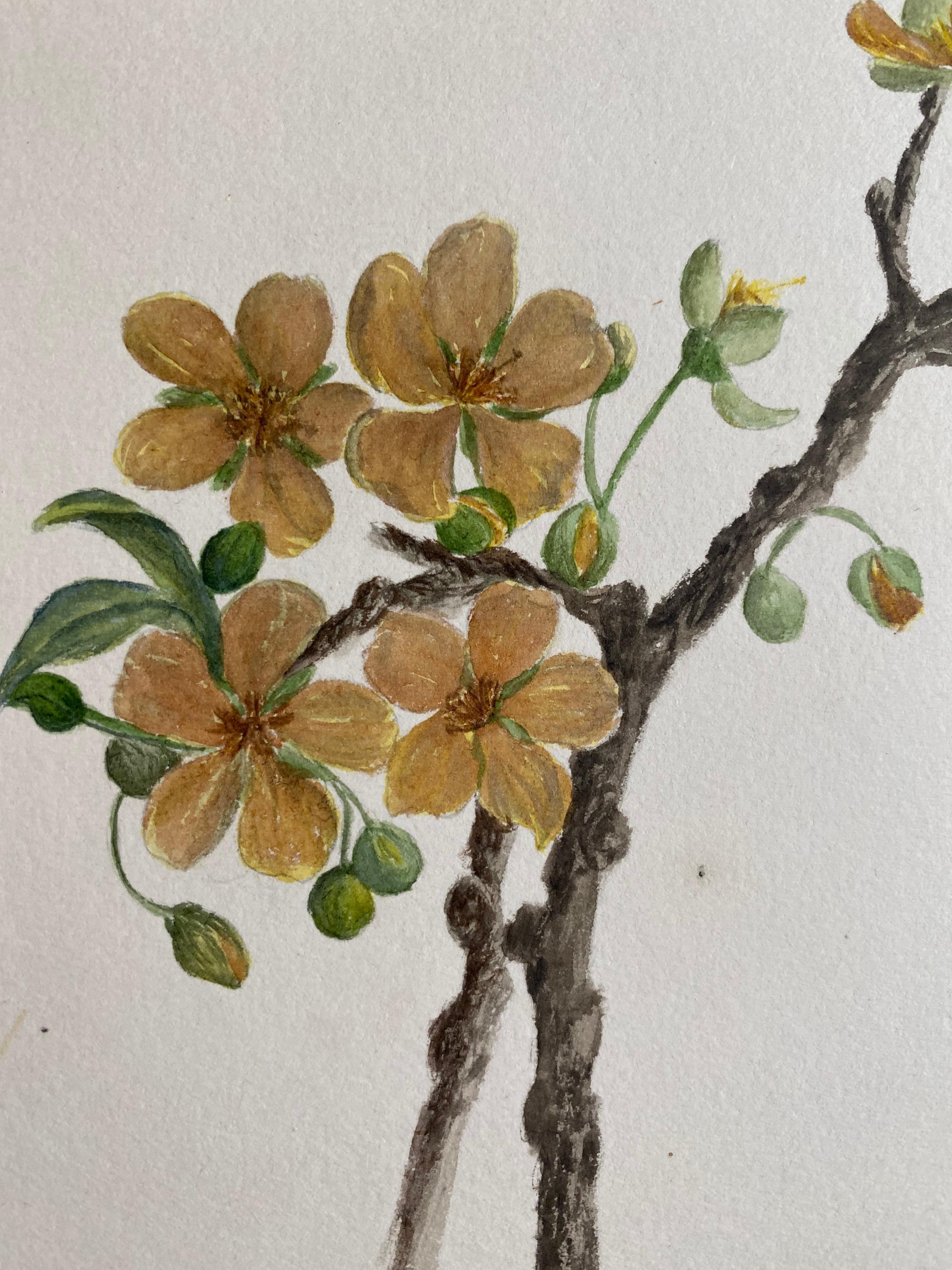 Belle aquarelle botanique britannique ancienne, vers 1900 - Gris Still-Life par Unknown