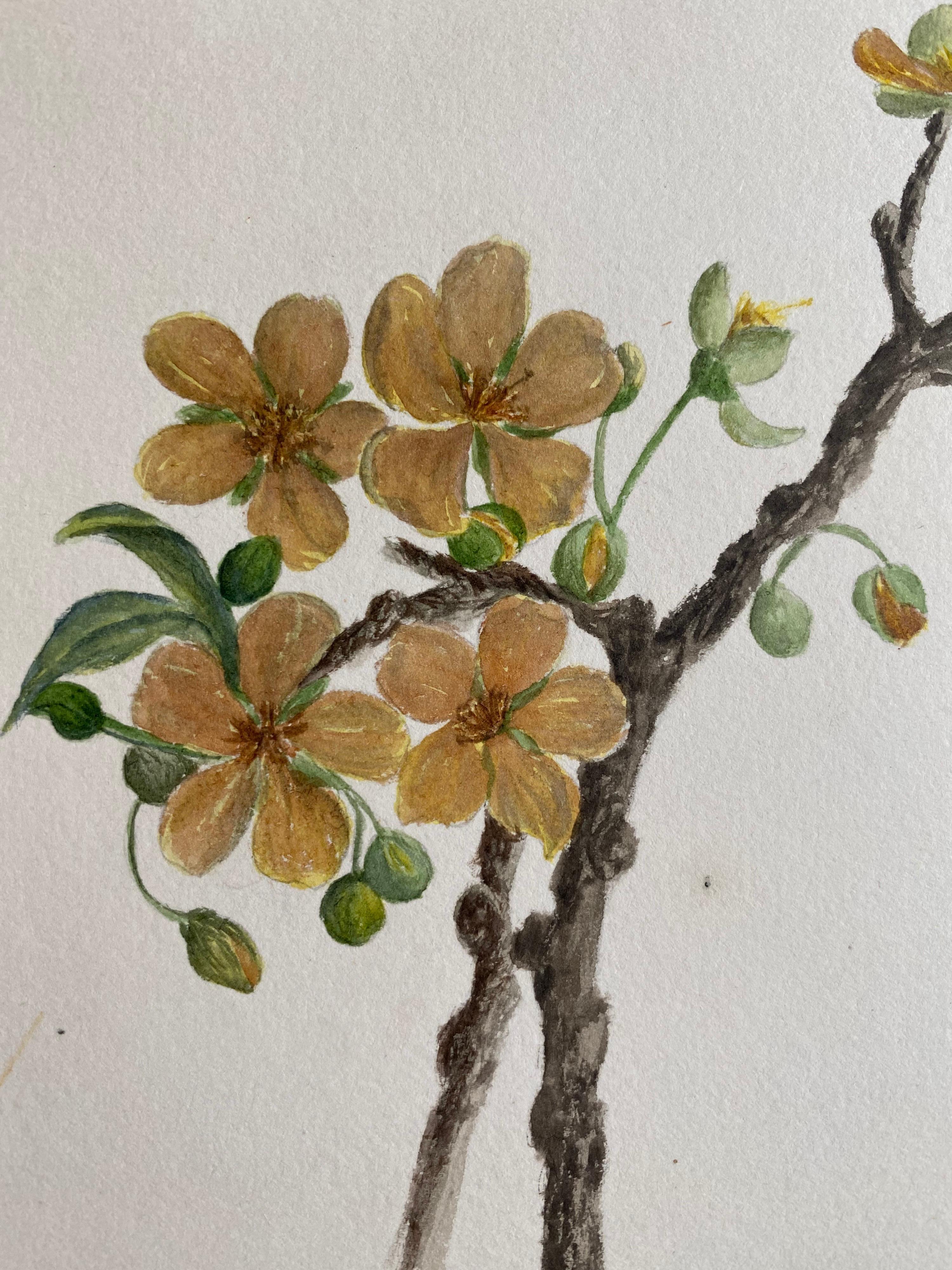 Belle aquarelle botanique britannique ancienne, vers 1900 en vente 1