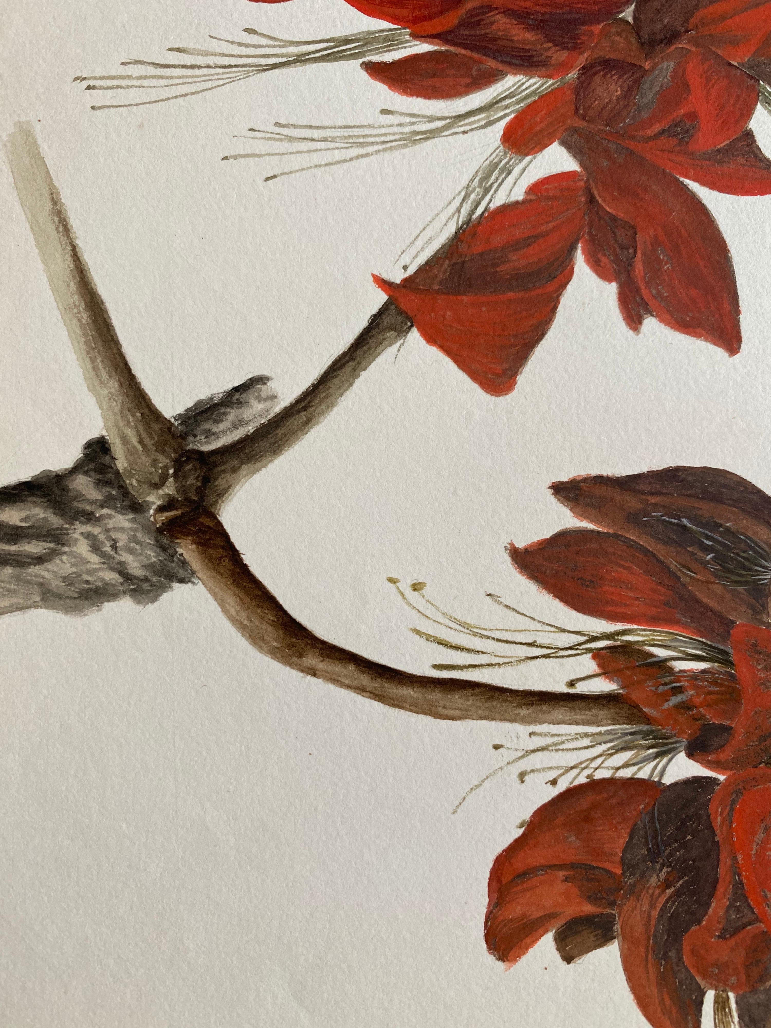 Belle aquarelle botanique britannique ancienne, circa 1900 Fleur rouge - Beige Still-Life par Unknown