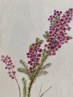Fine Antique British Botannical Watercolour Painting, circa 1900's