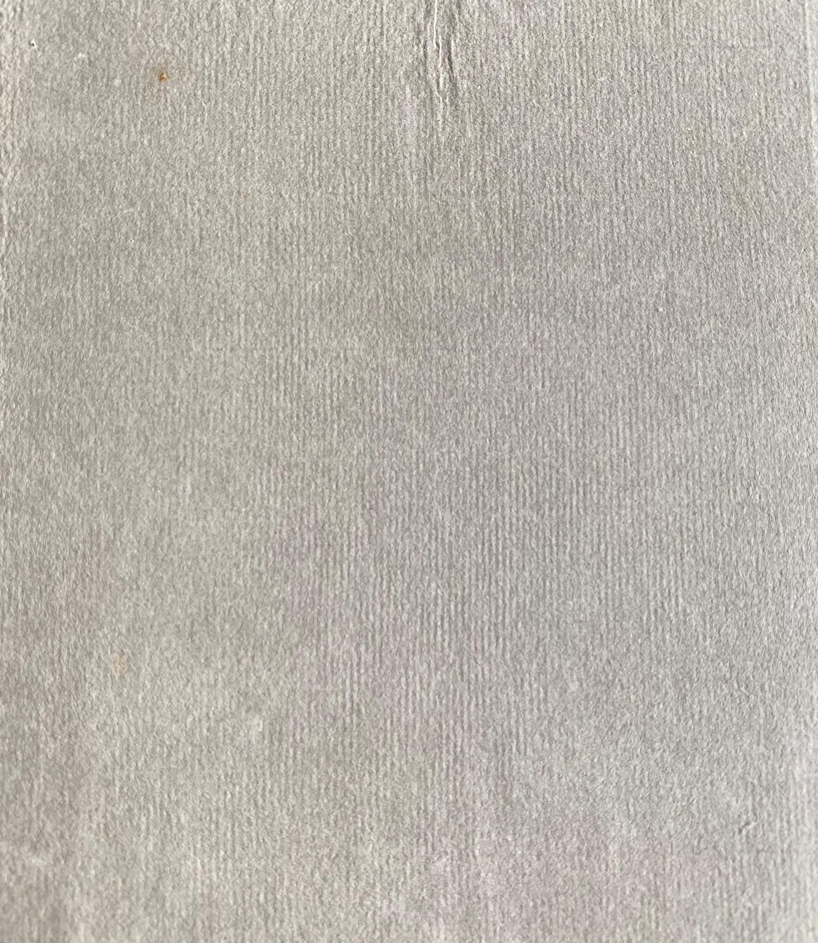 Une très belle aquarelle botanique anglaise ancienne représentant cette magnifique représentation d'une fleur/plante. L'œuvre nous est parvenue d'une collection privée du Surrey, en Angleterre, et faisait partie d'un album d'œuvres rassemblées par