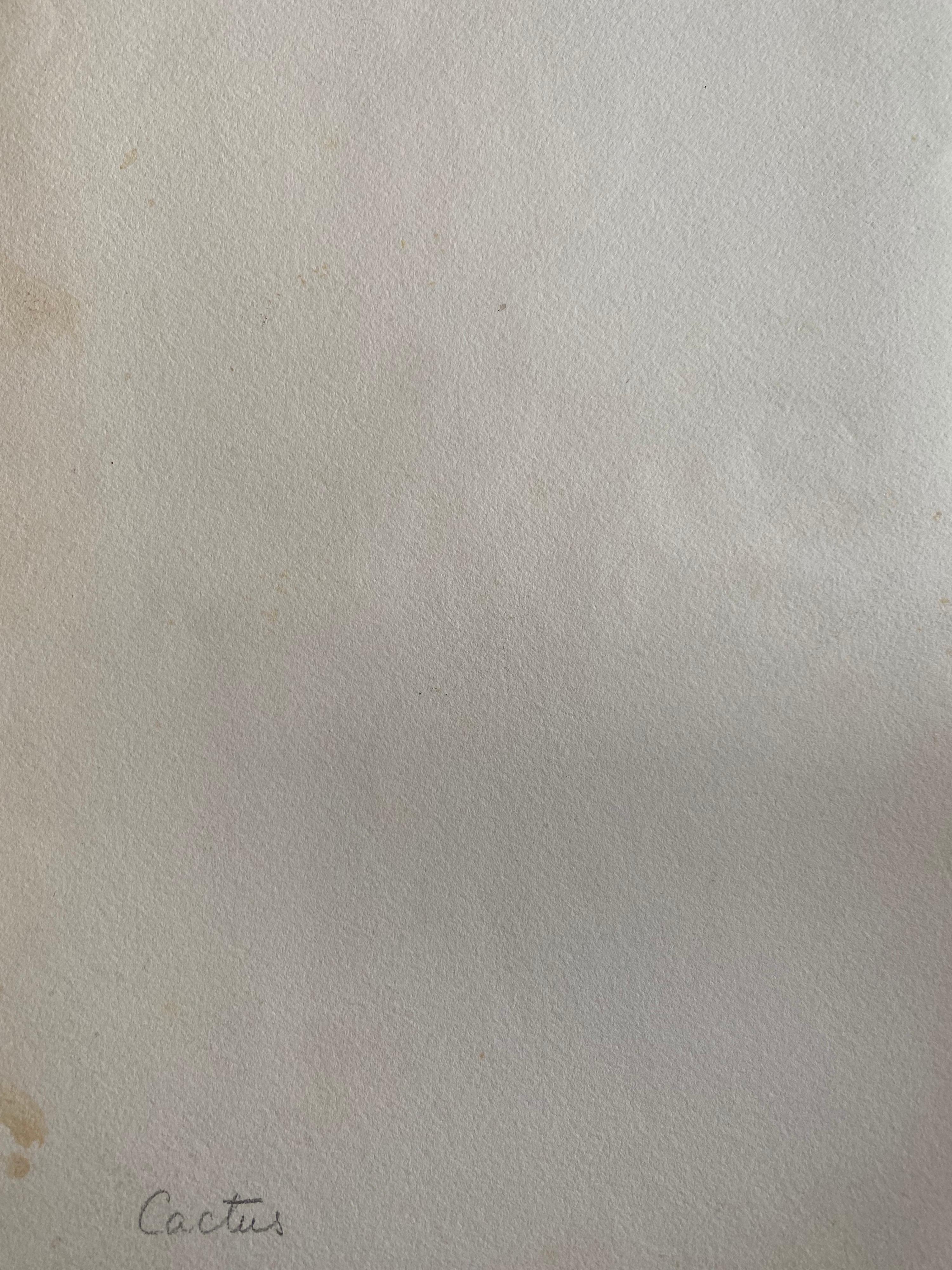 Une très belle aquarelle botanique anglaise ancienne représentant cette magnifique représentation d'une fleur/plante. L'œuvre nous est parvenue d'une collection privée du Surrey, en Angleterre, et faisait partie d'un album d'œuvres rassemblées par