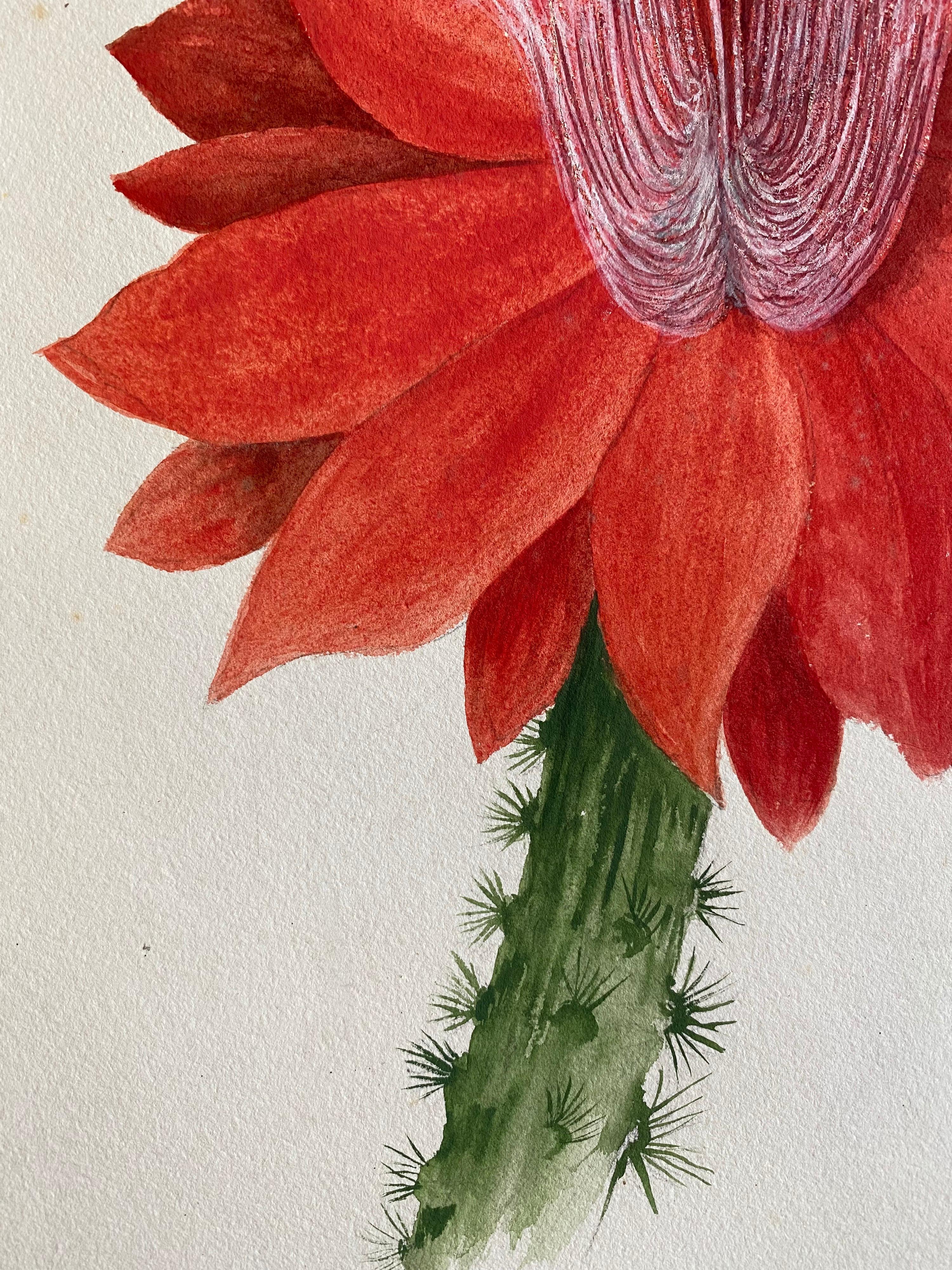 Belle aquarelle botanique britannique ancienne, circa 1900 Fleur rouge - Beige Still-Life par Unknown