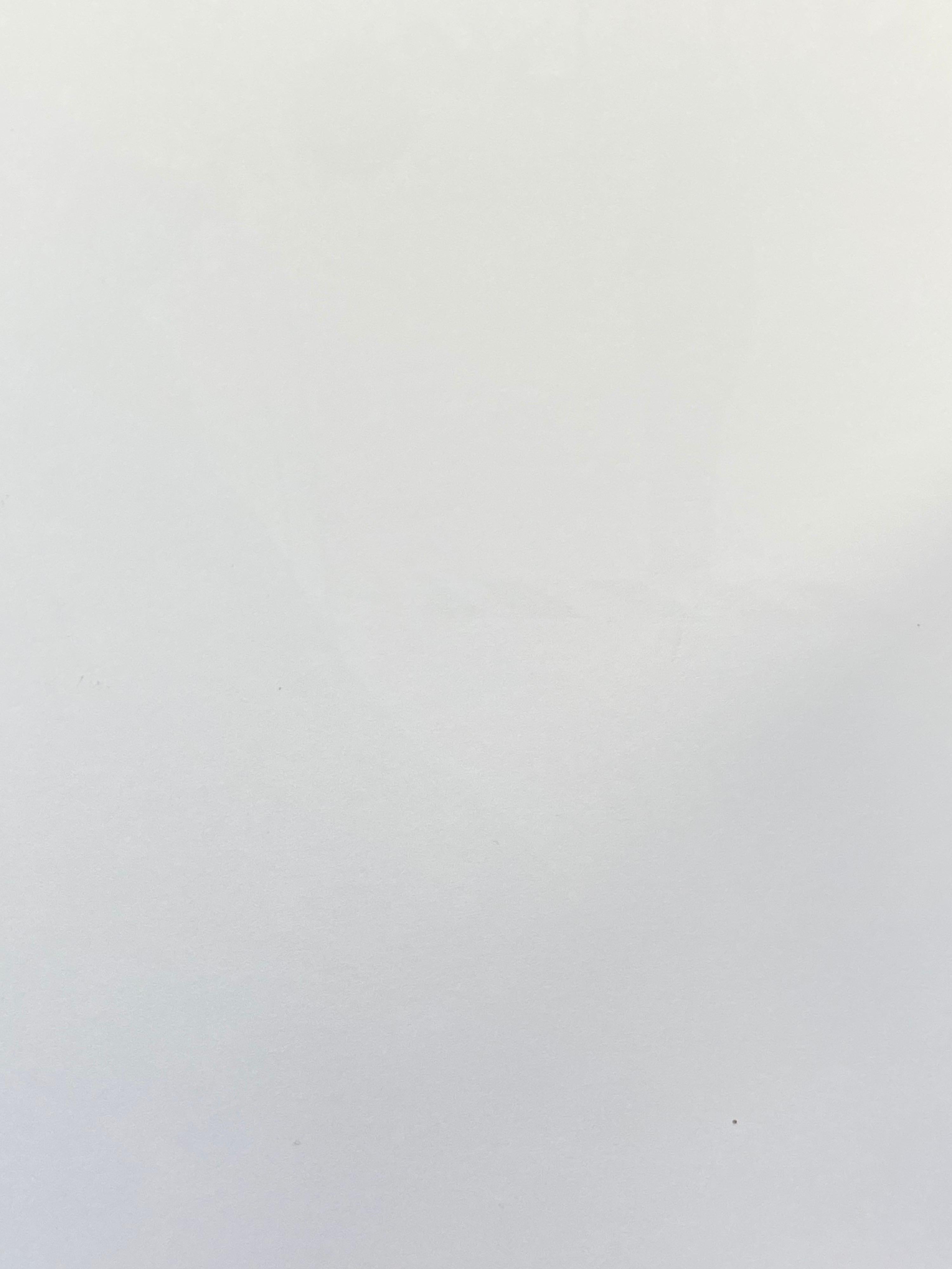 Illustration de mode originale à l'aquarelle - Peinture d'une créatrice Laura Ashley en vente 2
