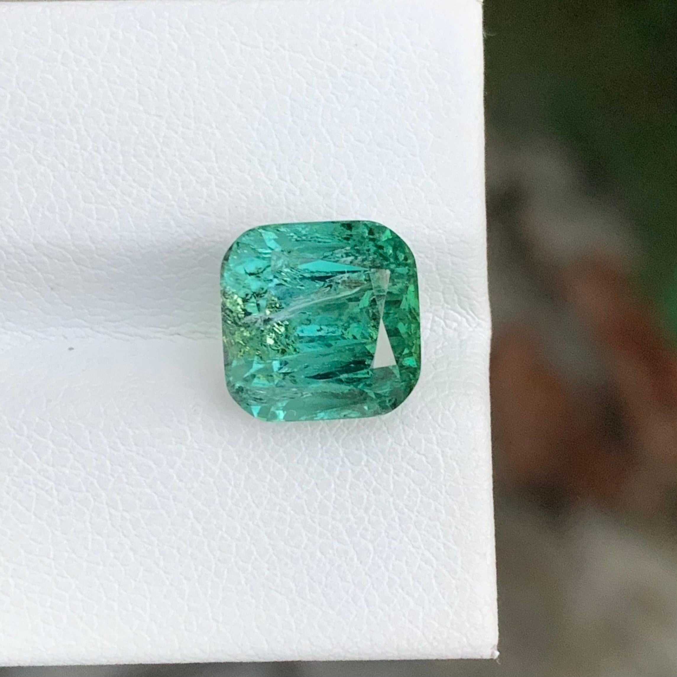 Tourmaline verte bleue en vrac

Poids : 6,45 carats
Dimension : 9,8 x 9,8 x 8,5 mm
Origine : Afghanistan
Certificat : Sur demande
Traitement : Non
Forme : Carré 
Couleur : bleu et vert 
Clarté : Inclus 


La tourmaline est une pierre précieuse