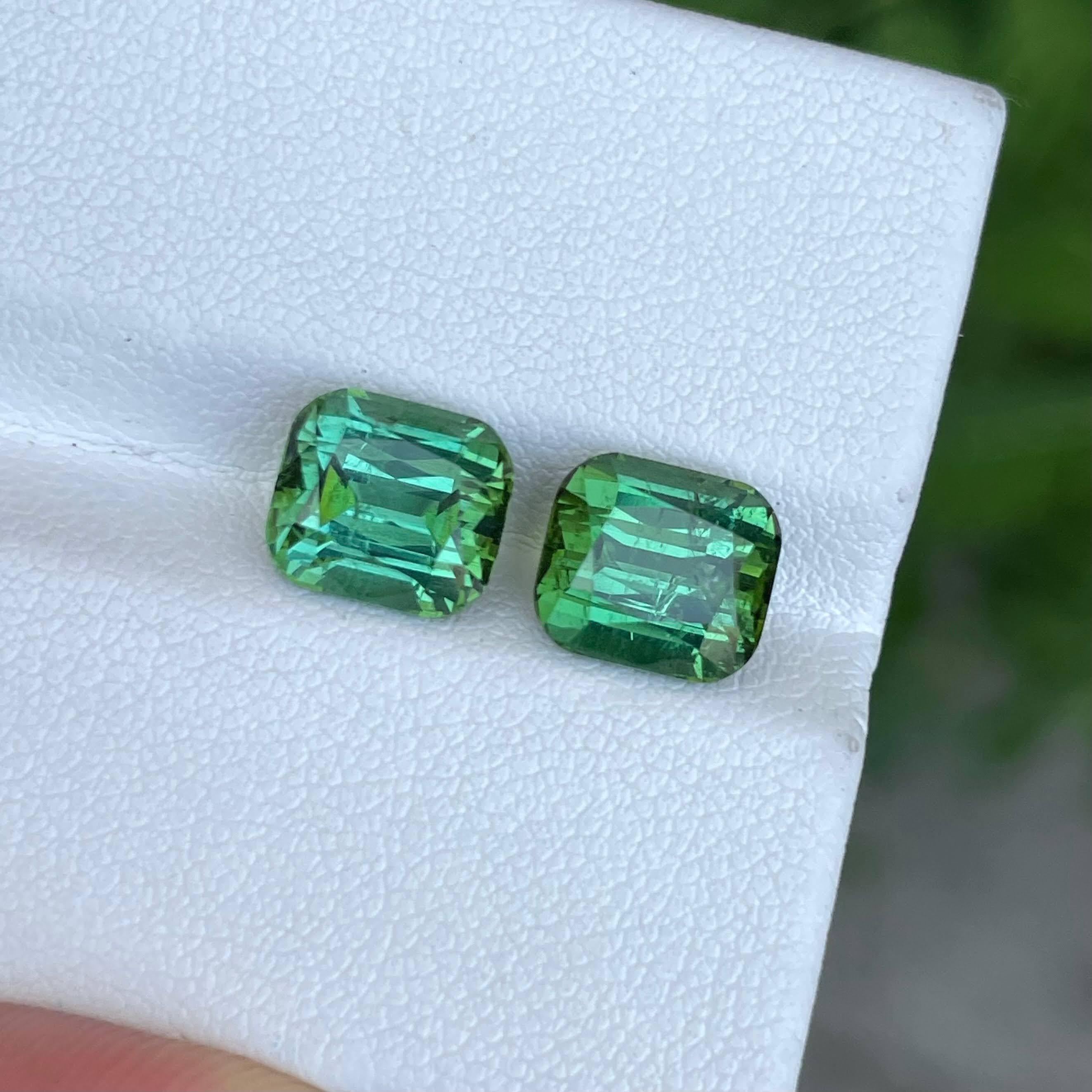 Gewicht 4,95 Karat 
Abmessungen 11,2x9,6x6,35 mm 
Behandlung keine 
Herkunft Madagaskar 
Klarheit SI
Form oval
Ausgefallenes Oval schneiden 




Das 6,46 Karat schwere, kissenförmig geschliffene Steinpaar aus mintgrünem Turmalin ist ein