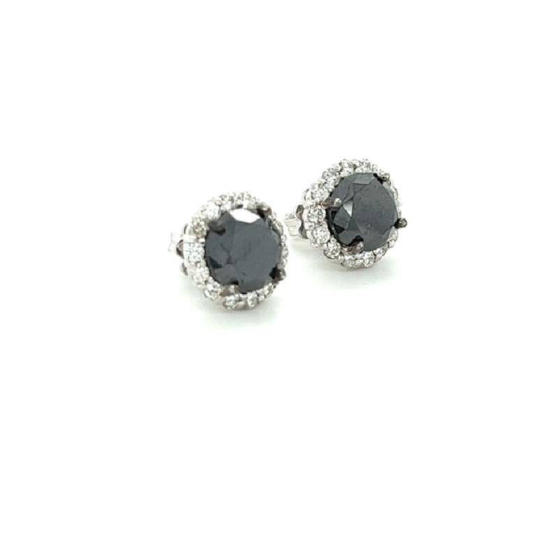 2 Beautiful Black Diamonds that weigh 5.71 Carats and are surrounded by Natural Round Cut Diamonds that weigh 0.77 Carats. (Clarity: VS, Color: H)  The total carat weight of the earrings are 6.48 Carats. 

They are set in 14 Karat White Gold and