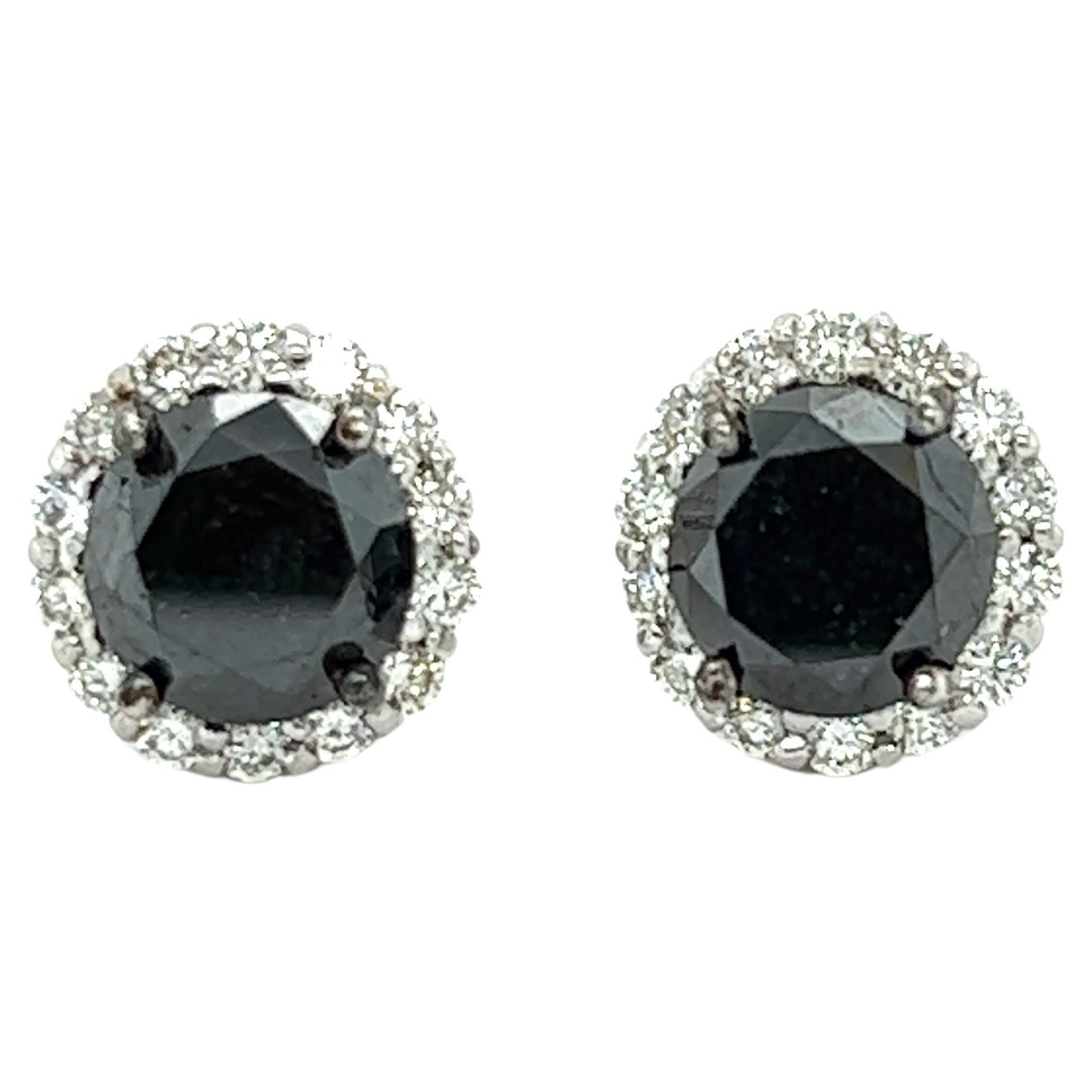 6.48 Carat Black Diamond White Diamond White Gold Earring Studs For Sale