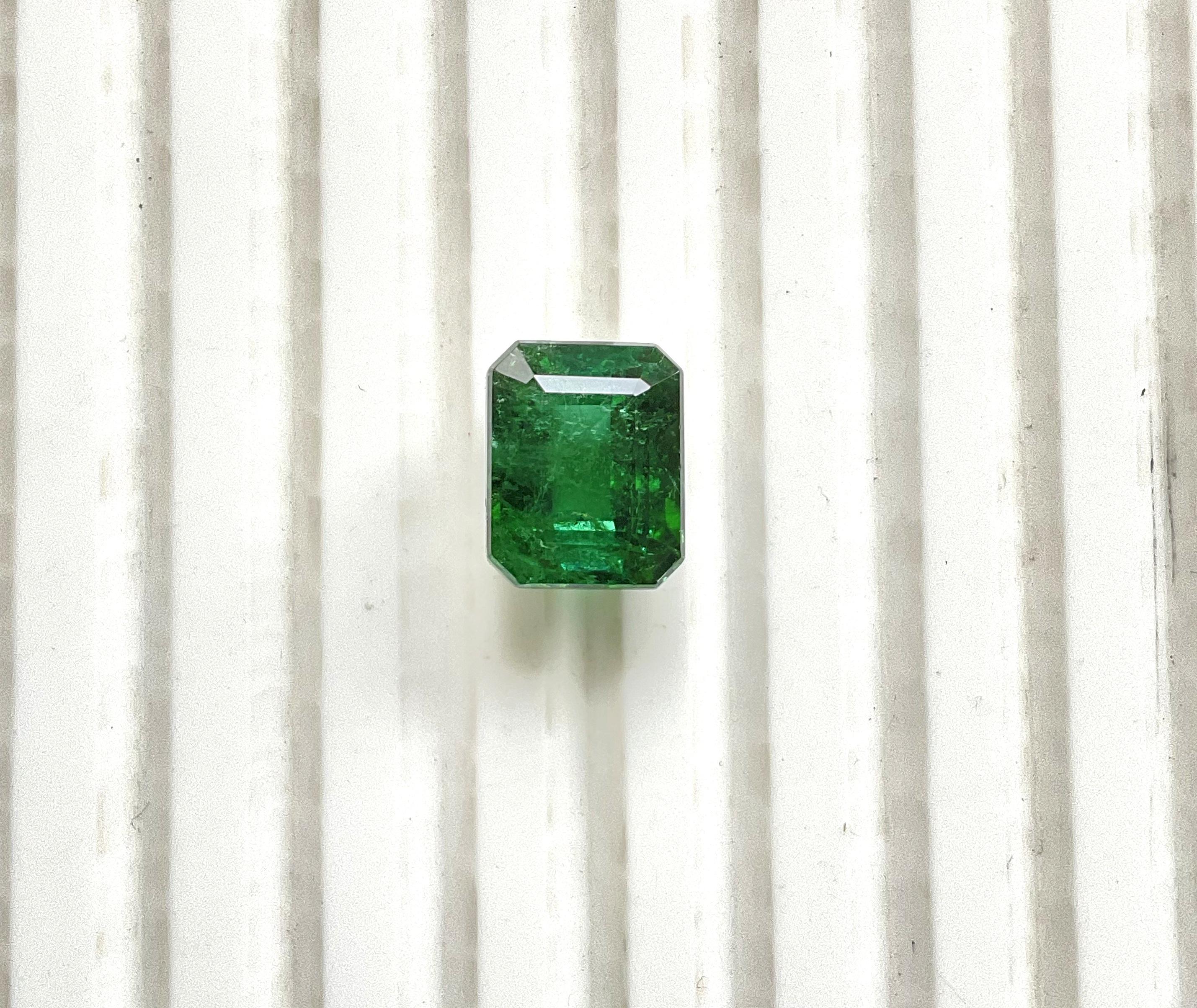 Pierre naturelle de 6.48 carats, tourmaline verte octogonale taillée à facettes de qualité supérieure en vente 1