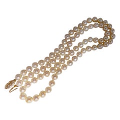 Japanese Akoya Pearls Necklace 14 Karat Irish Cream