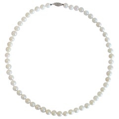 6,5 mm. Collana di perle coltivate bianche - Chiusura in oro bianco 14K - S.S. White - Circa 1980