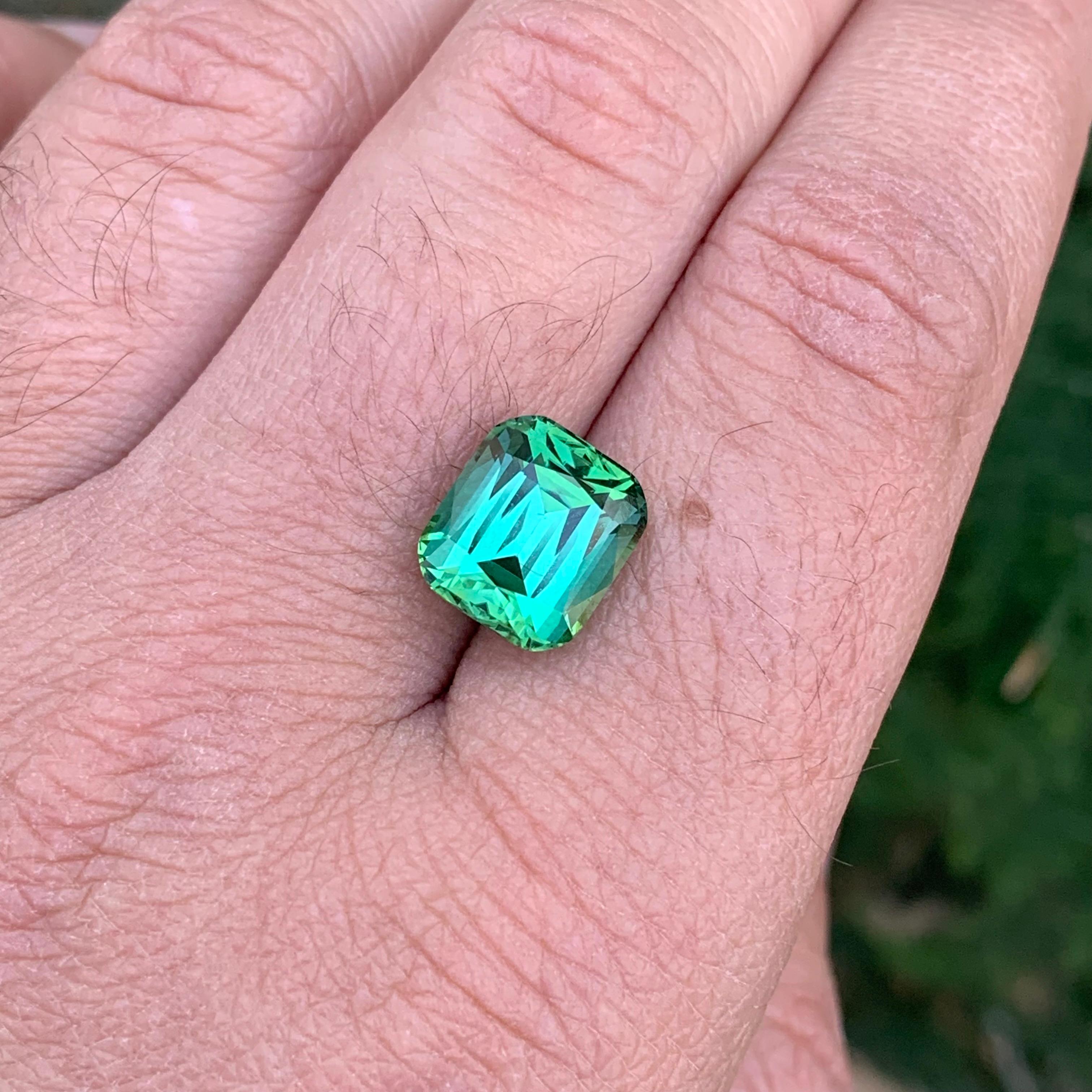 6.50 Carat Natural Loose Green Tourmaline Cushion Shape Gemstone (Tourmaline verte en forme de coussin) en vente 4