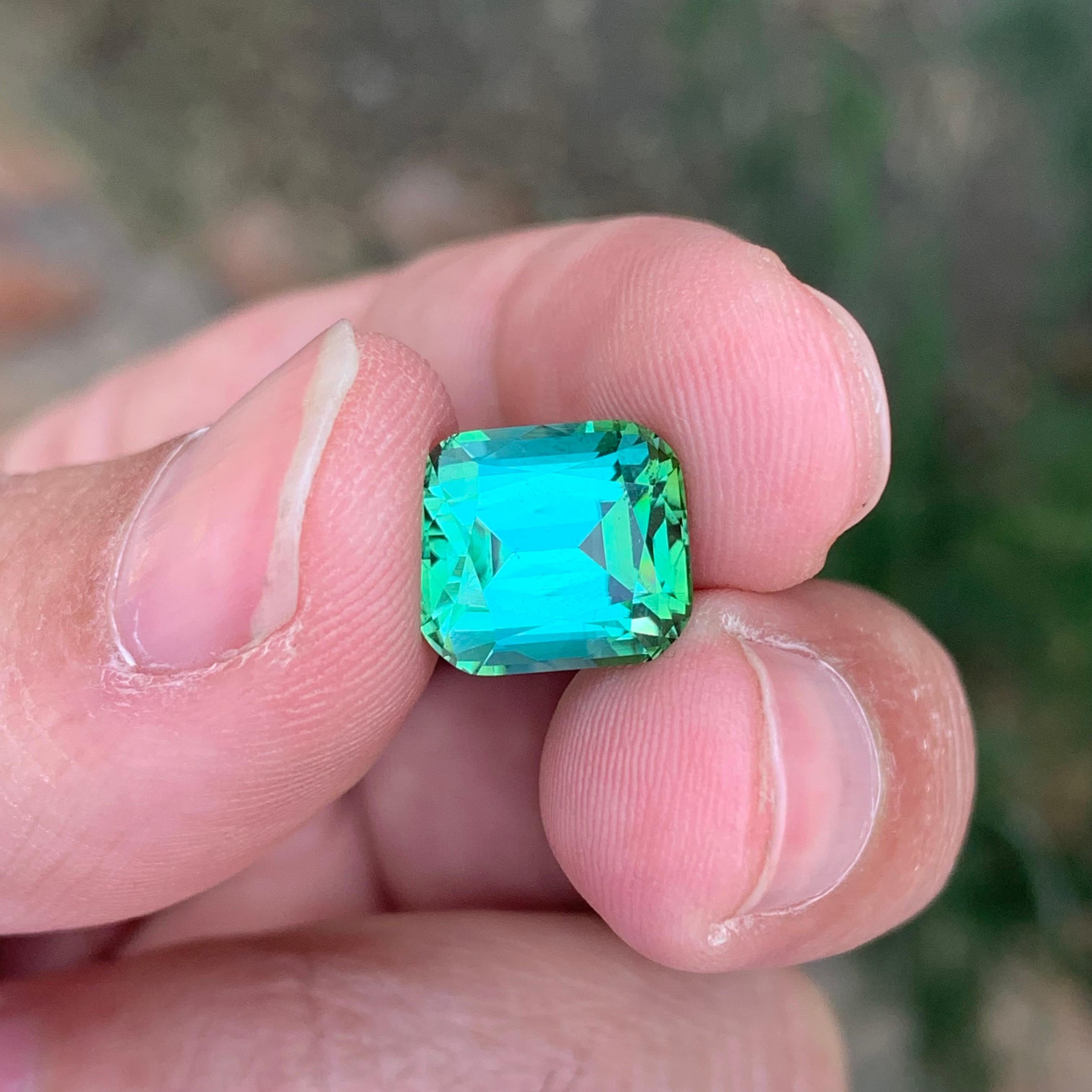 6.50 Carat Natural Loose Green Tourmaline Cushion Shape Gemstone (Tourmaline verte en forme de coussin) en vente 5